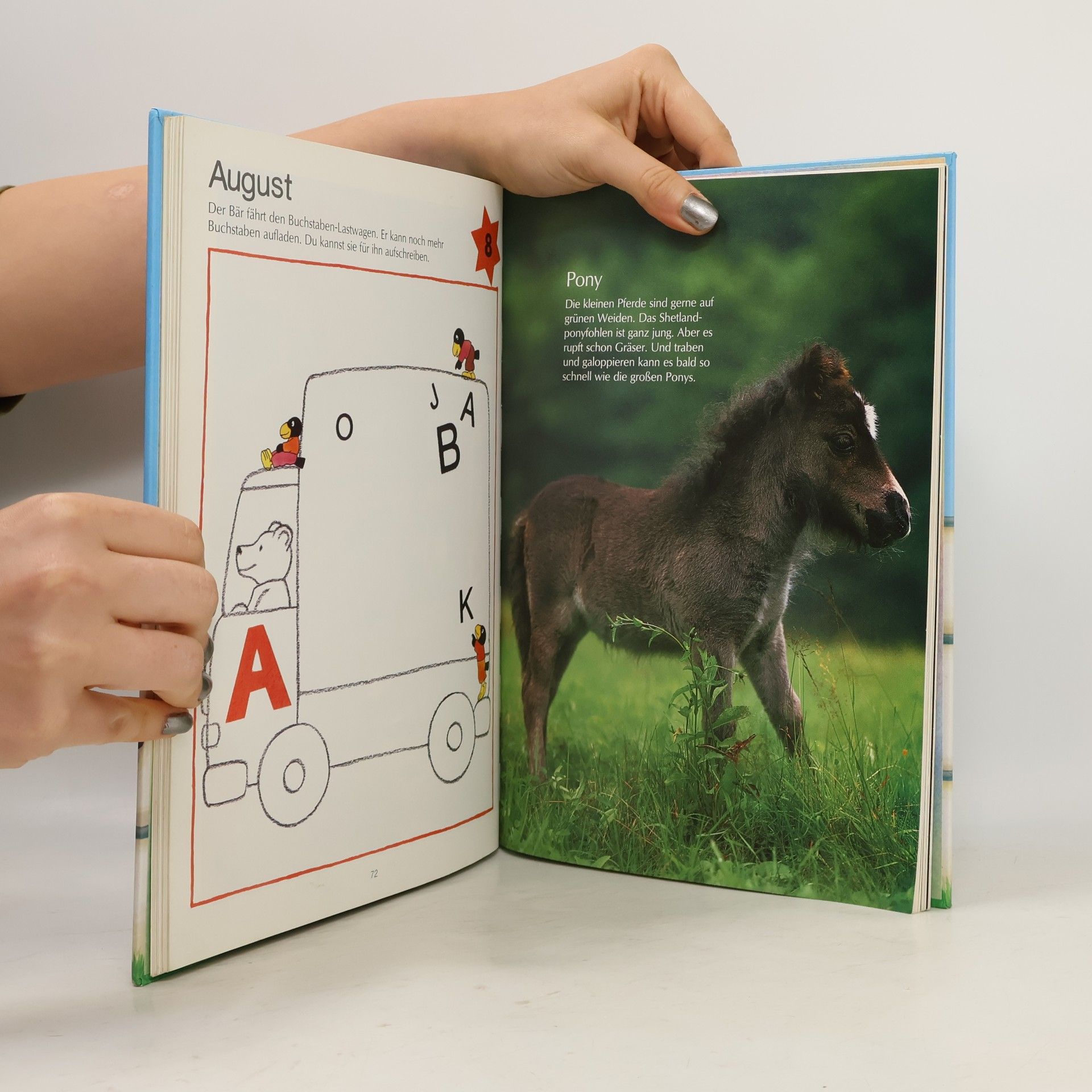 Various authors Jahrbuch für Kinder 1996