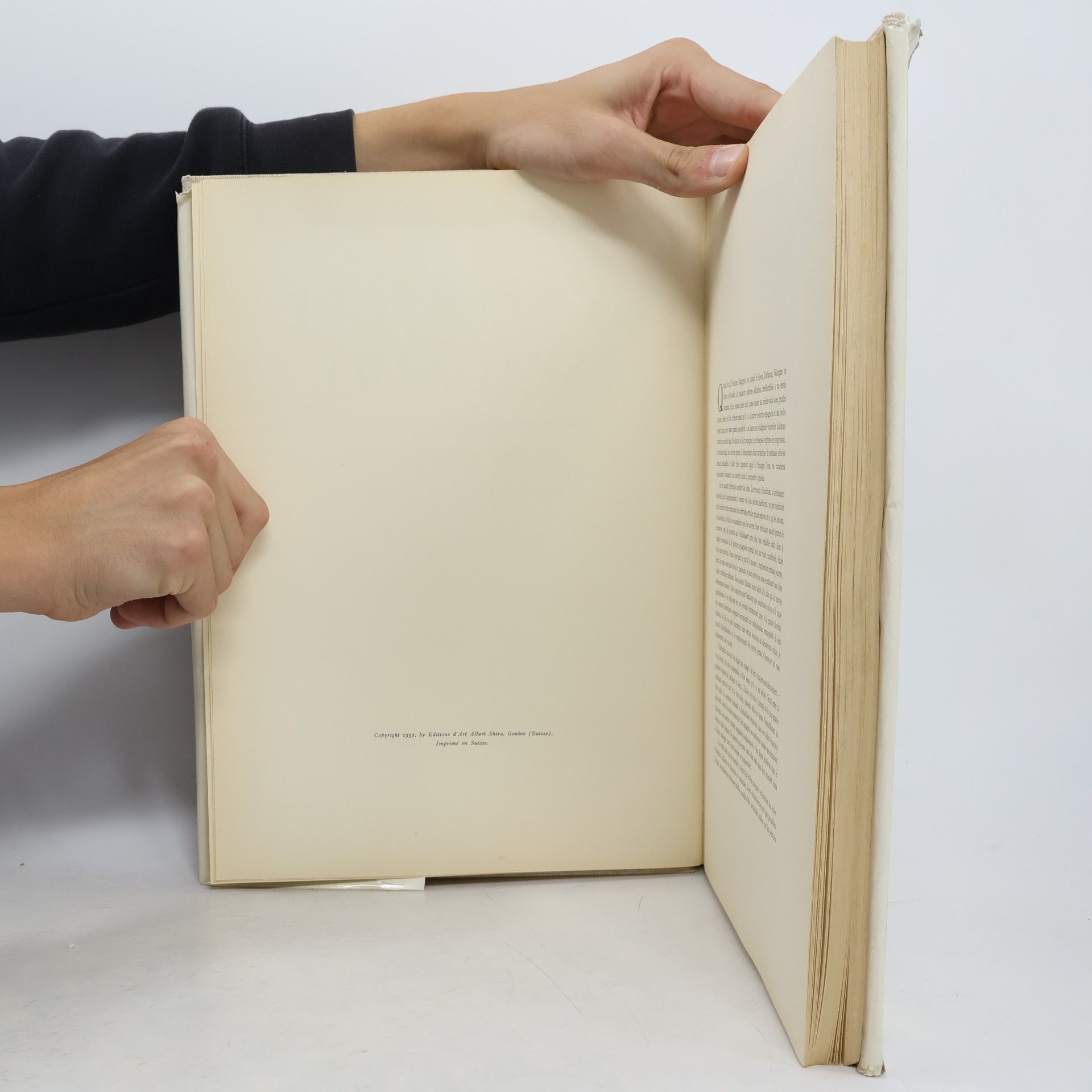 Autorenkollektiv La peinture espagnole. Des fresques romanes au Greco