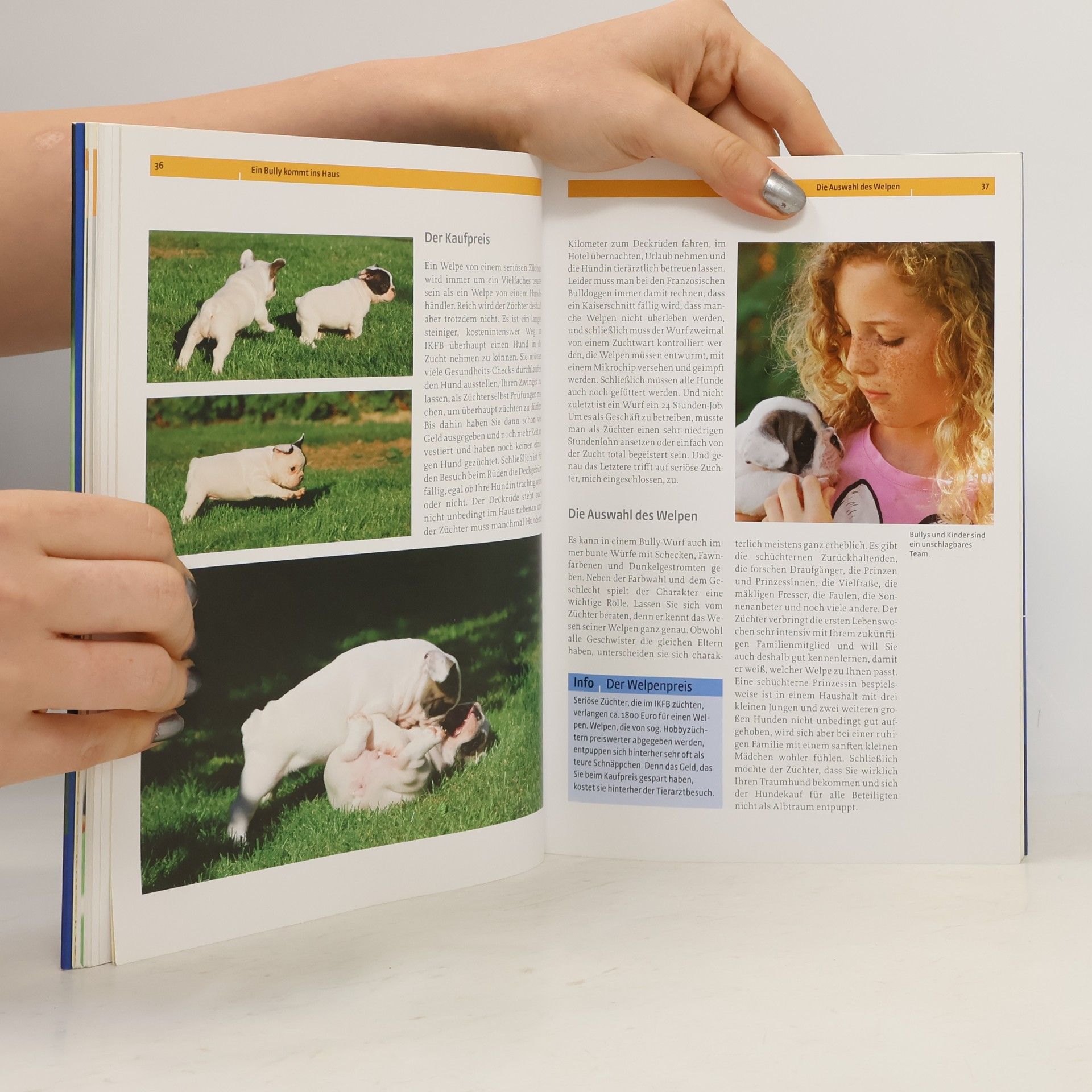 Anne Posthoff Französische Bulldogge
