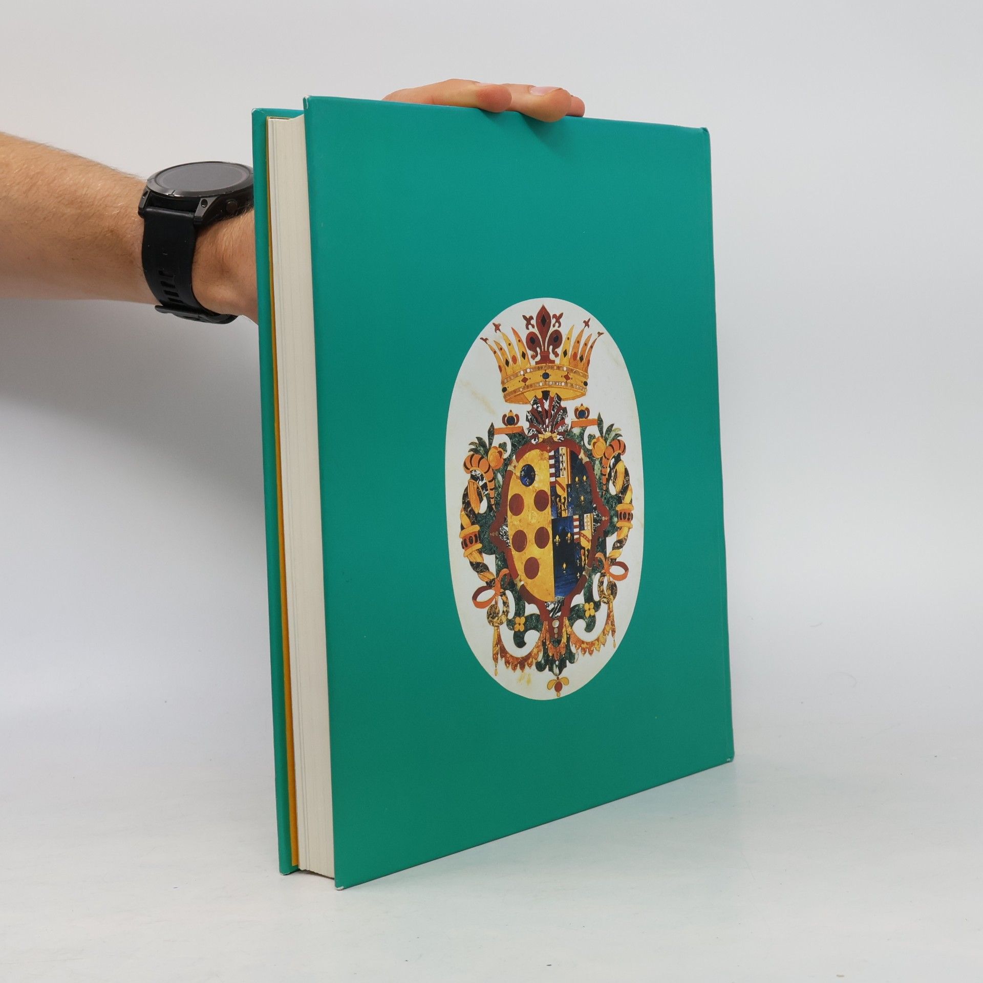 Autorenkollektiv Die Pracht der Medici : Florenz und Europa