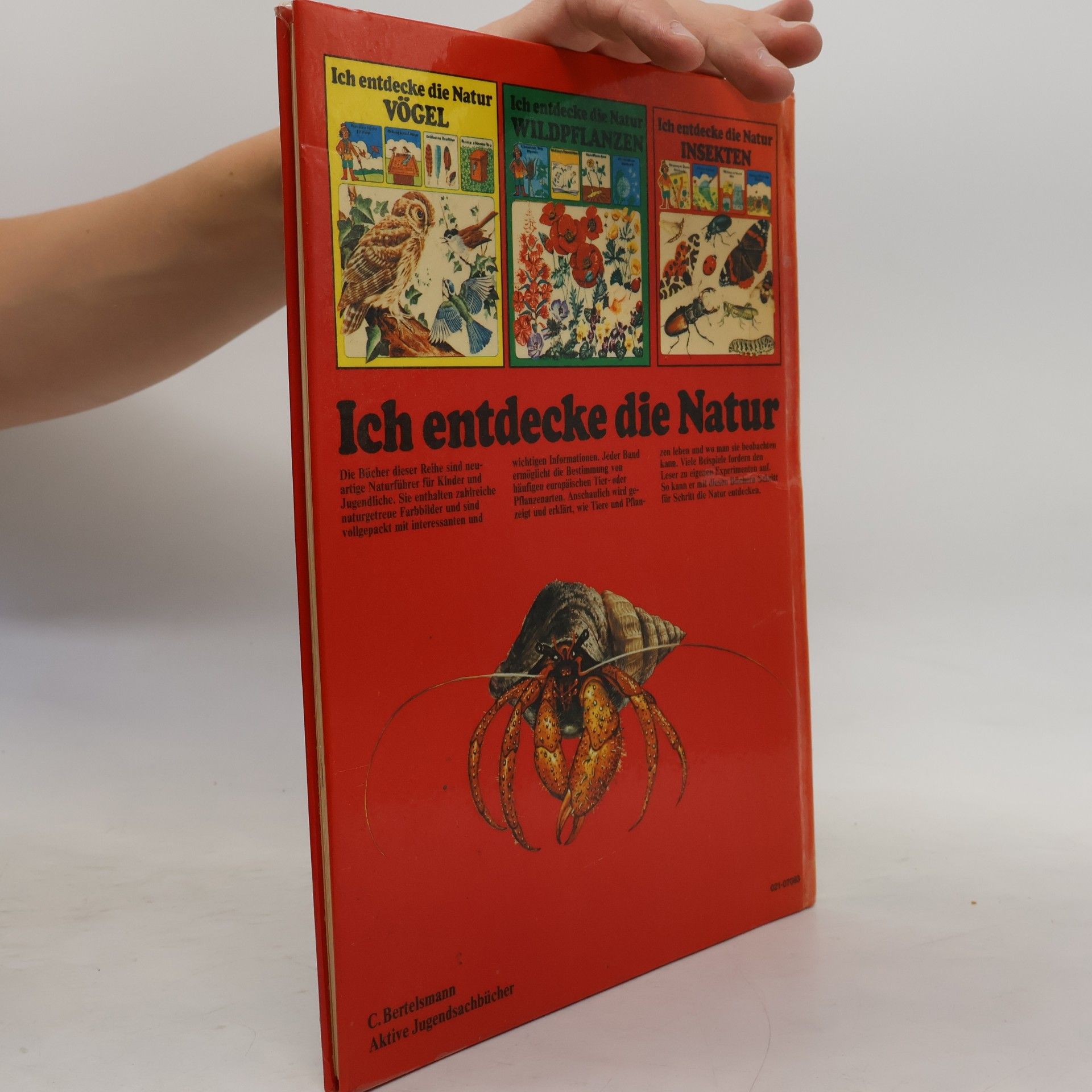 Su Swallow Ich entdecke die Natur: Meeresküsten