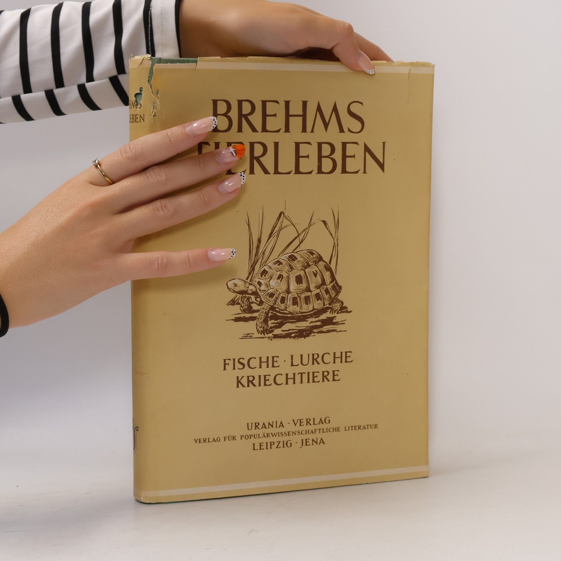 Walter Rammer Brehms Tierleben 2