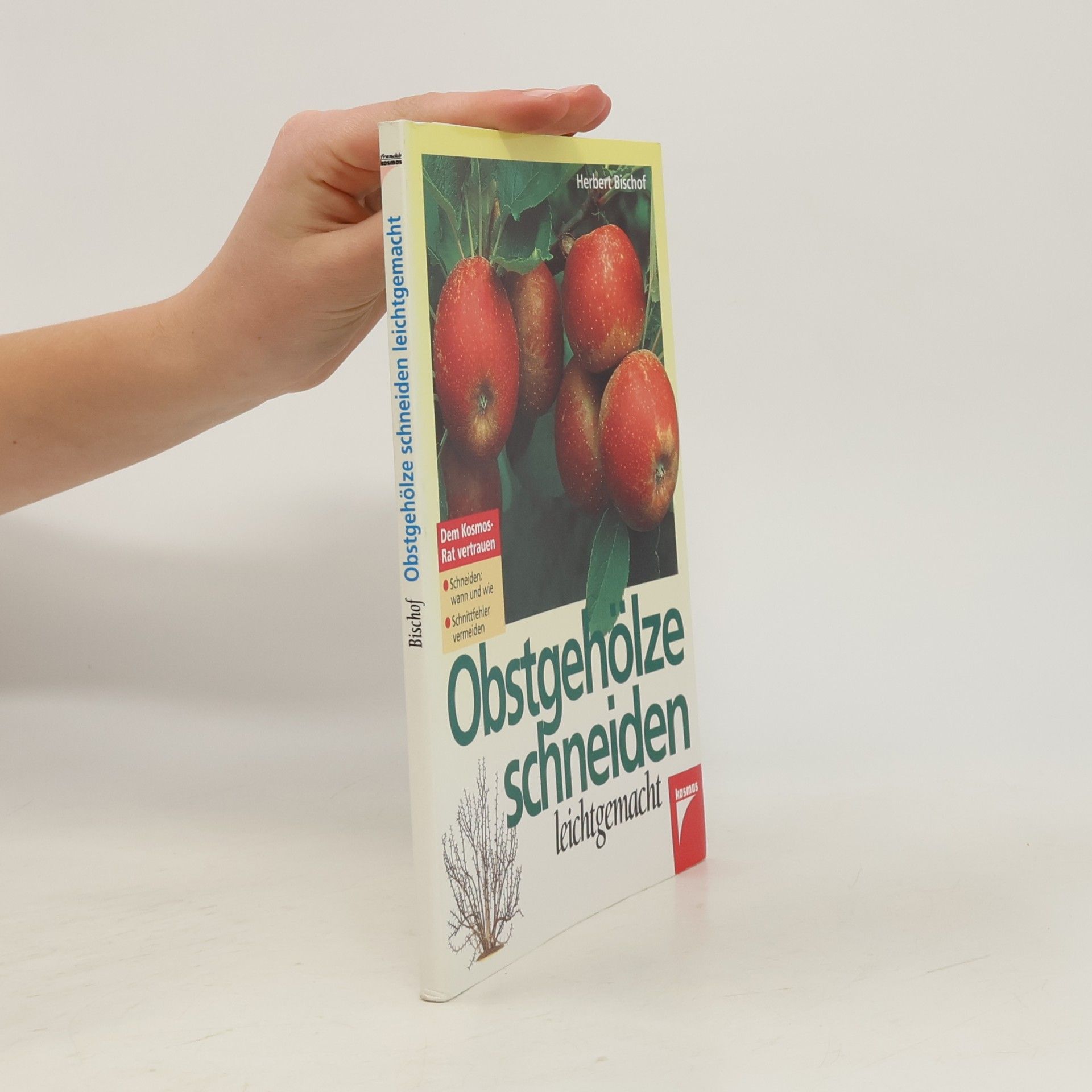 Obstgehölze schneiden leichtgemacht