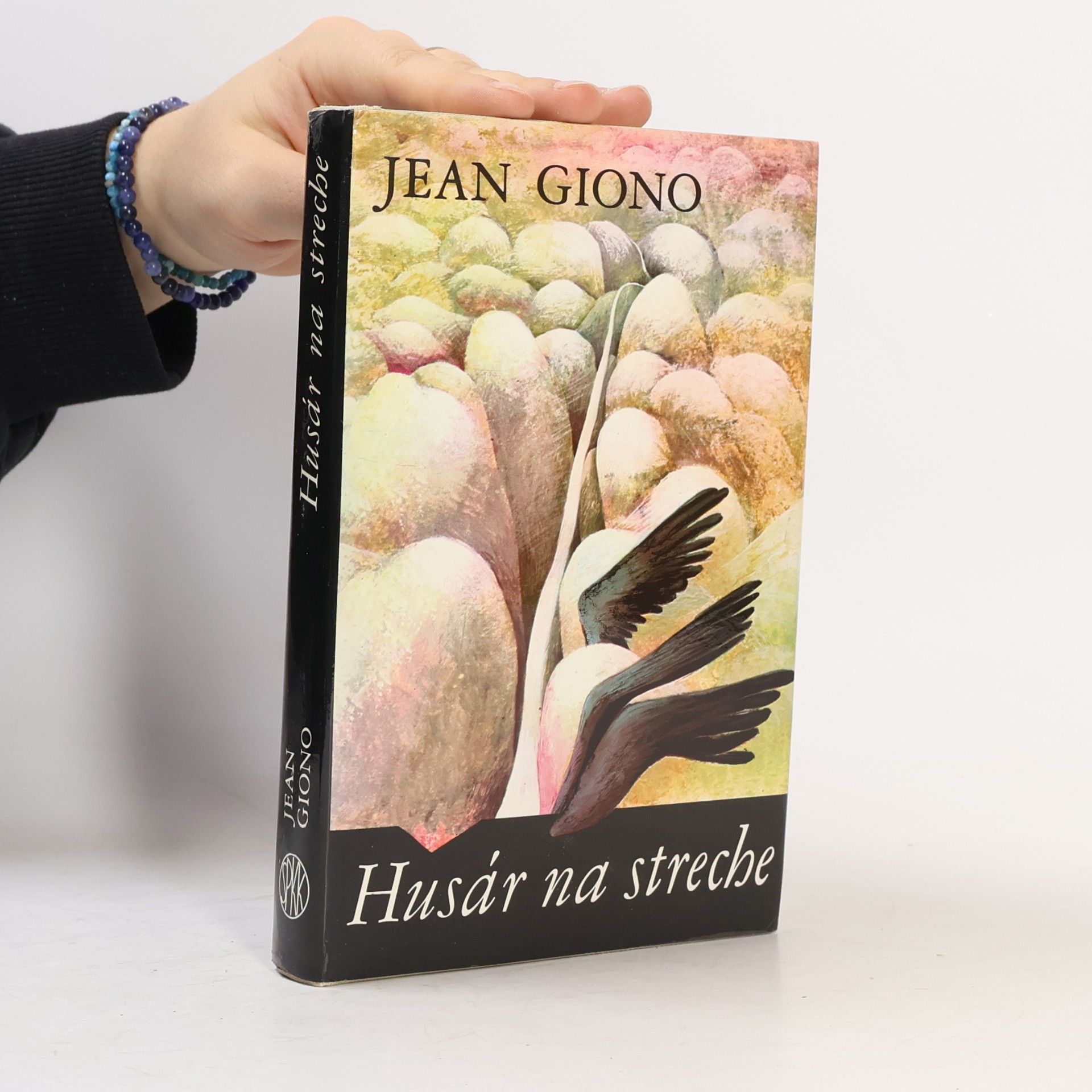 Husár na streche