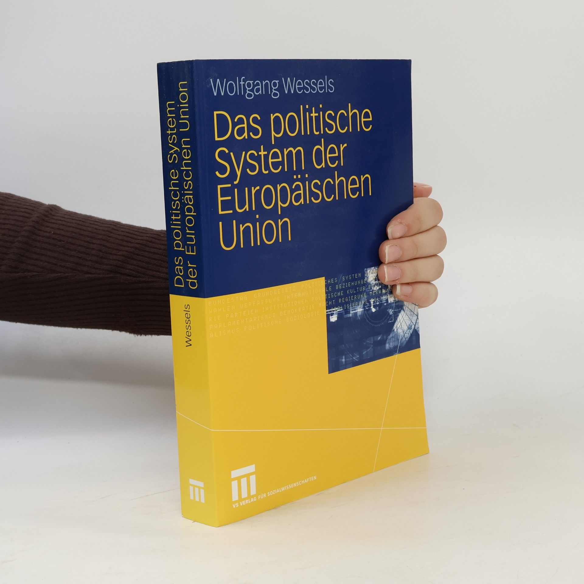 Das politische System der Europäischen Union