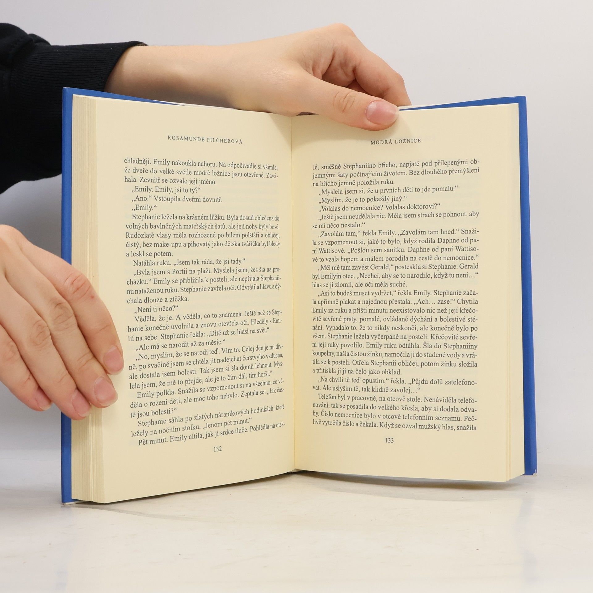 Rosamunde Pilcher Modrá ložnice a jiné povídky