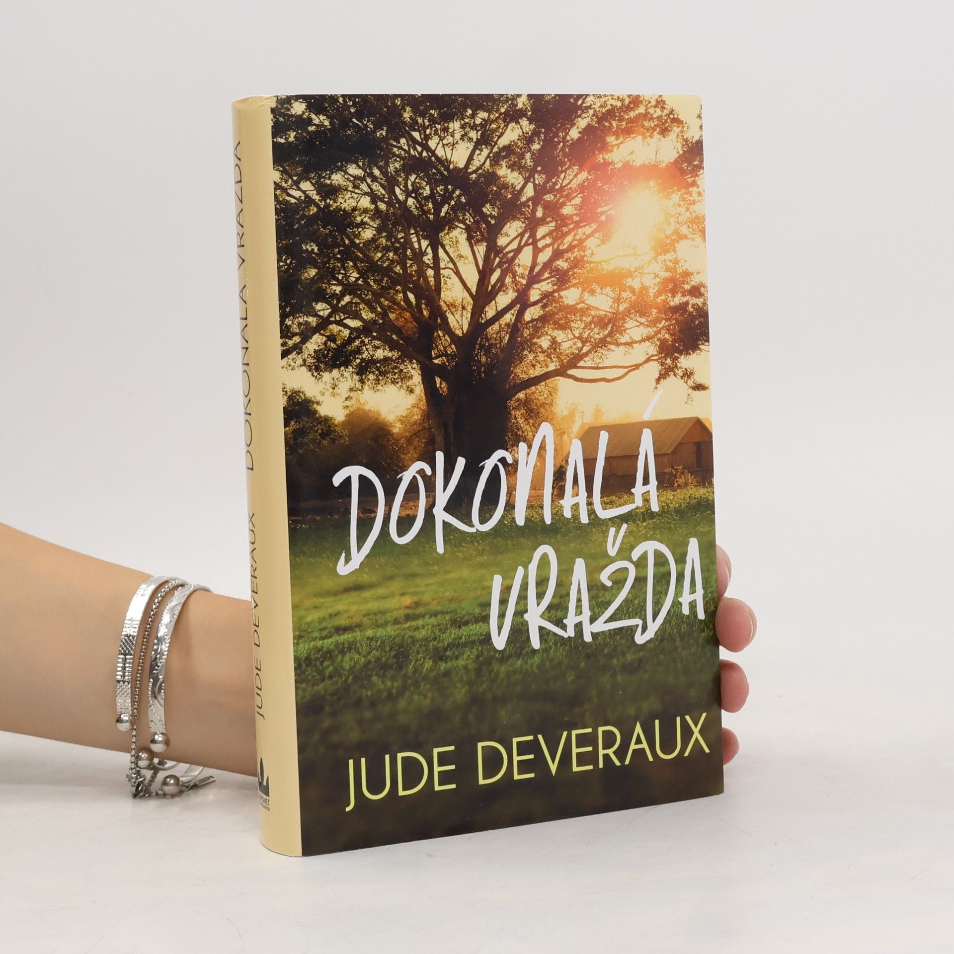 Jude Deveraux Dokonalá vražda