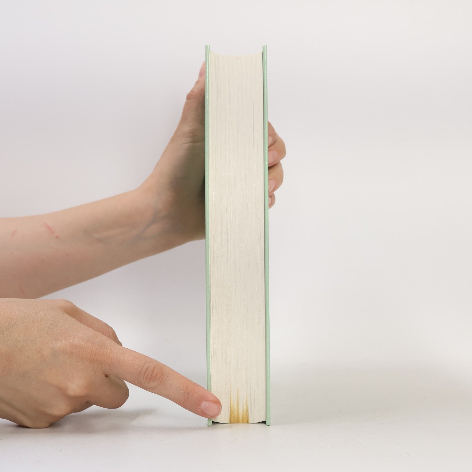 Steven P Harrington McGraw-Hill-Texte: Computergrafik - Einführung durch Programmierung
