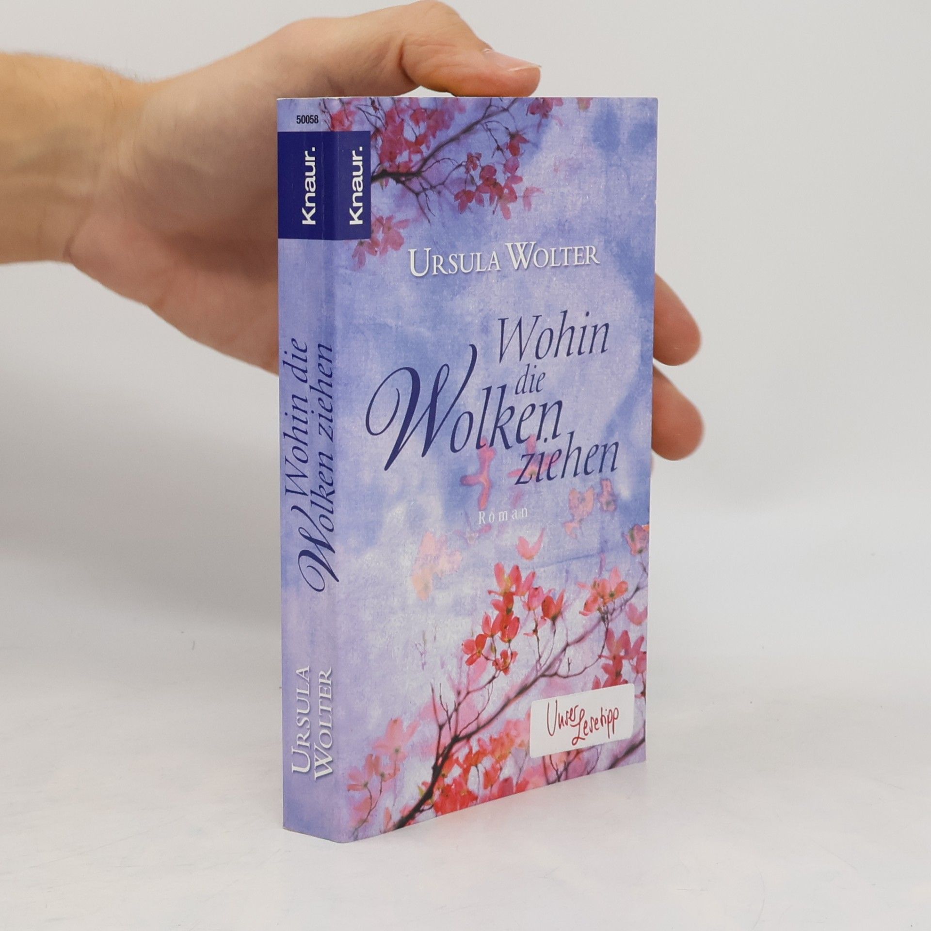 Ursula Wolter Wohin die Wolken ziehen. Roman