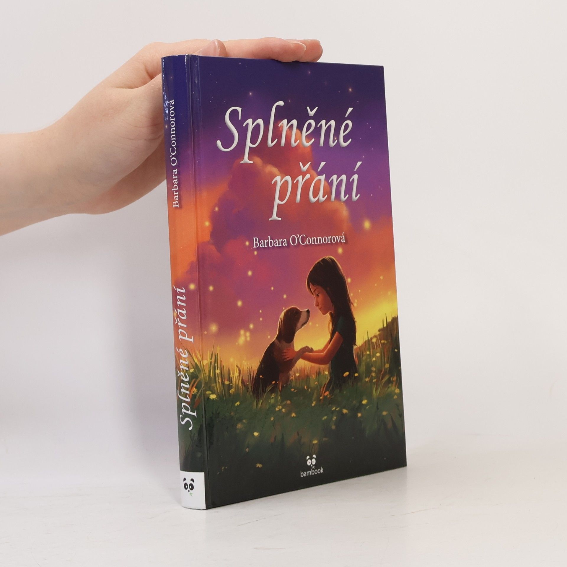 Barbara O'Connor Splněné přání