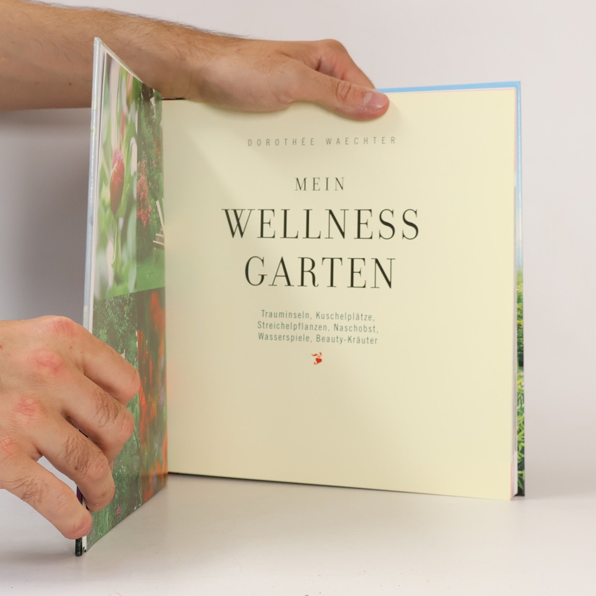Dorothée Waechter Mein Wellness Garten