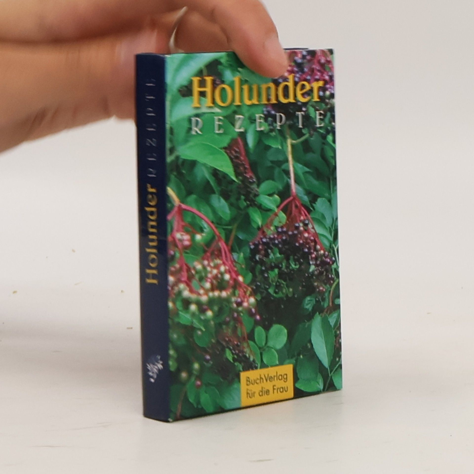 Christine Pfützner Holunder-Rezepte