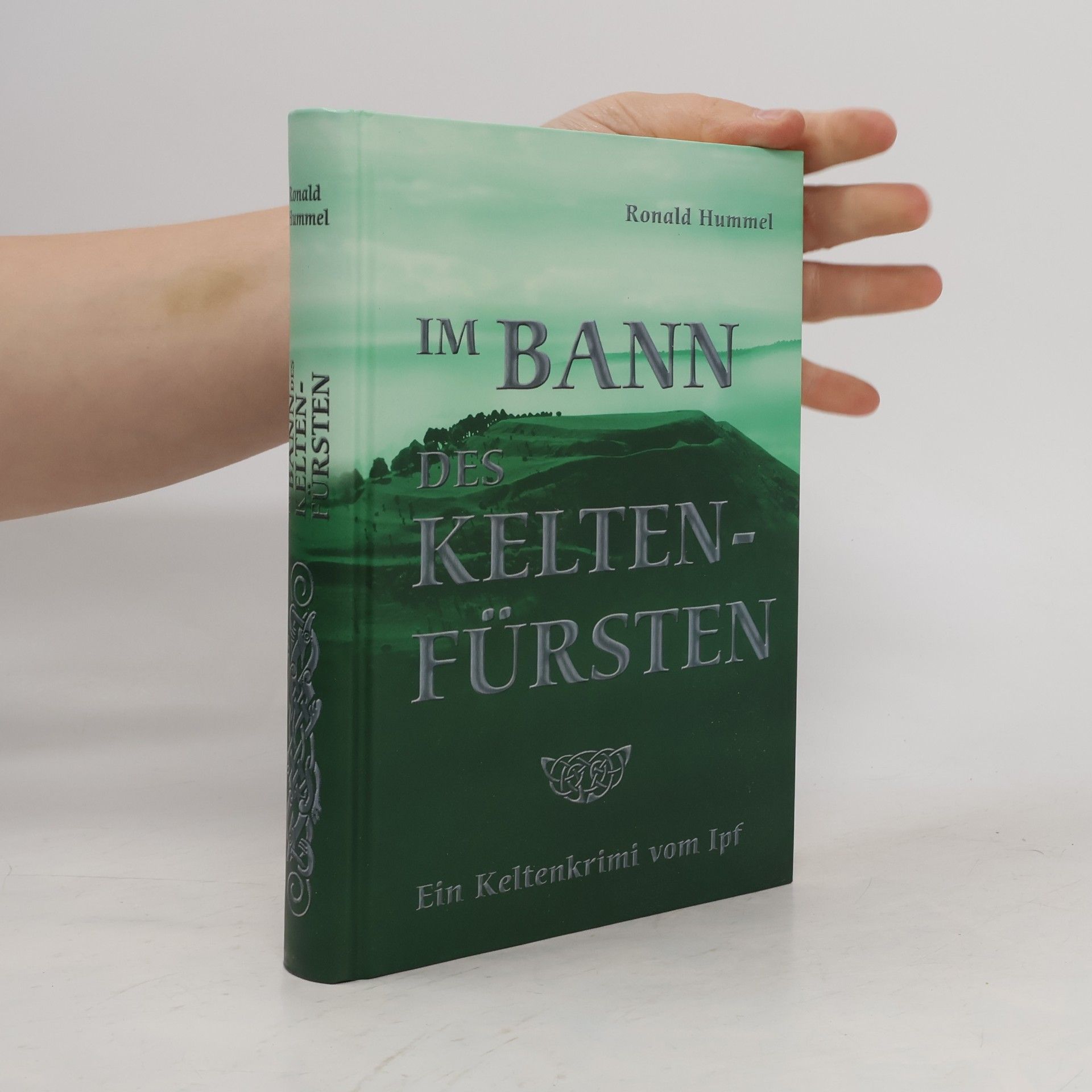 Ronald Hummel Im Bann des Keltenfürsten