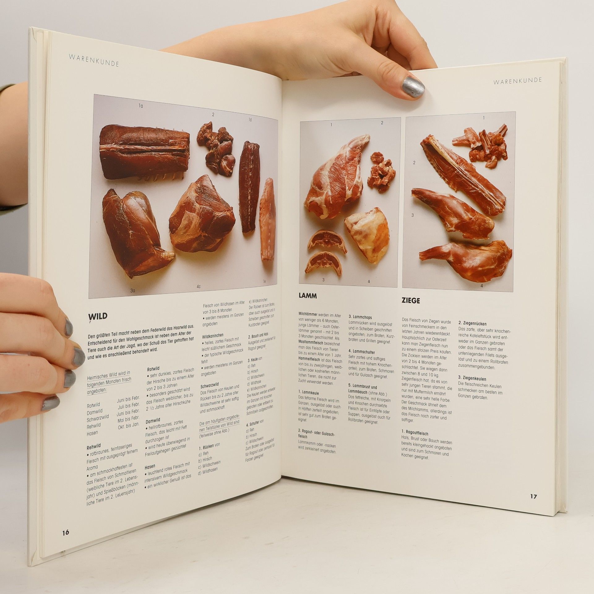 Various authors Fleisch. Die besten Rezepte