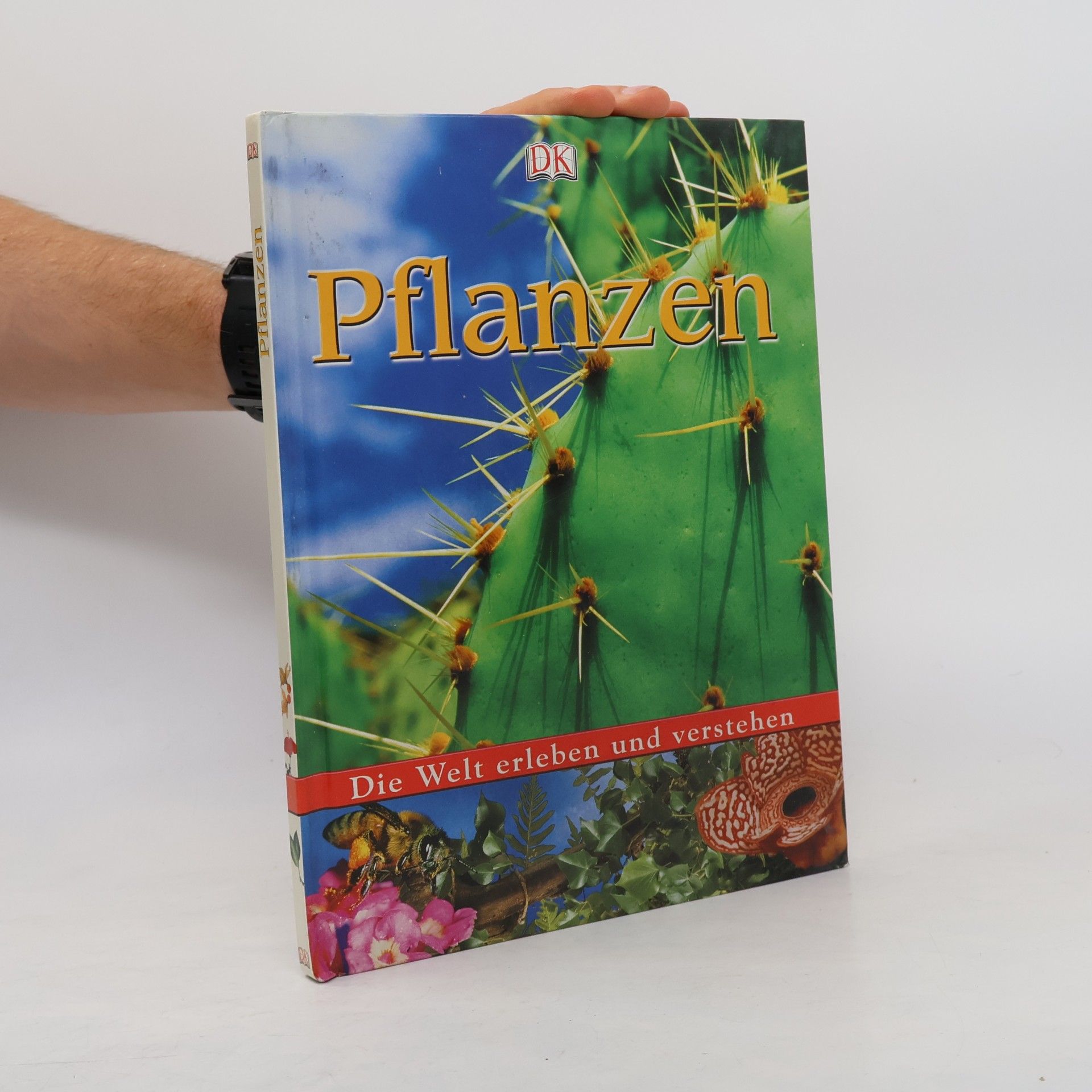 Fleur Star Pflanzen