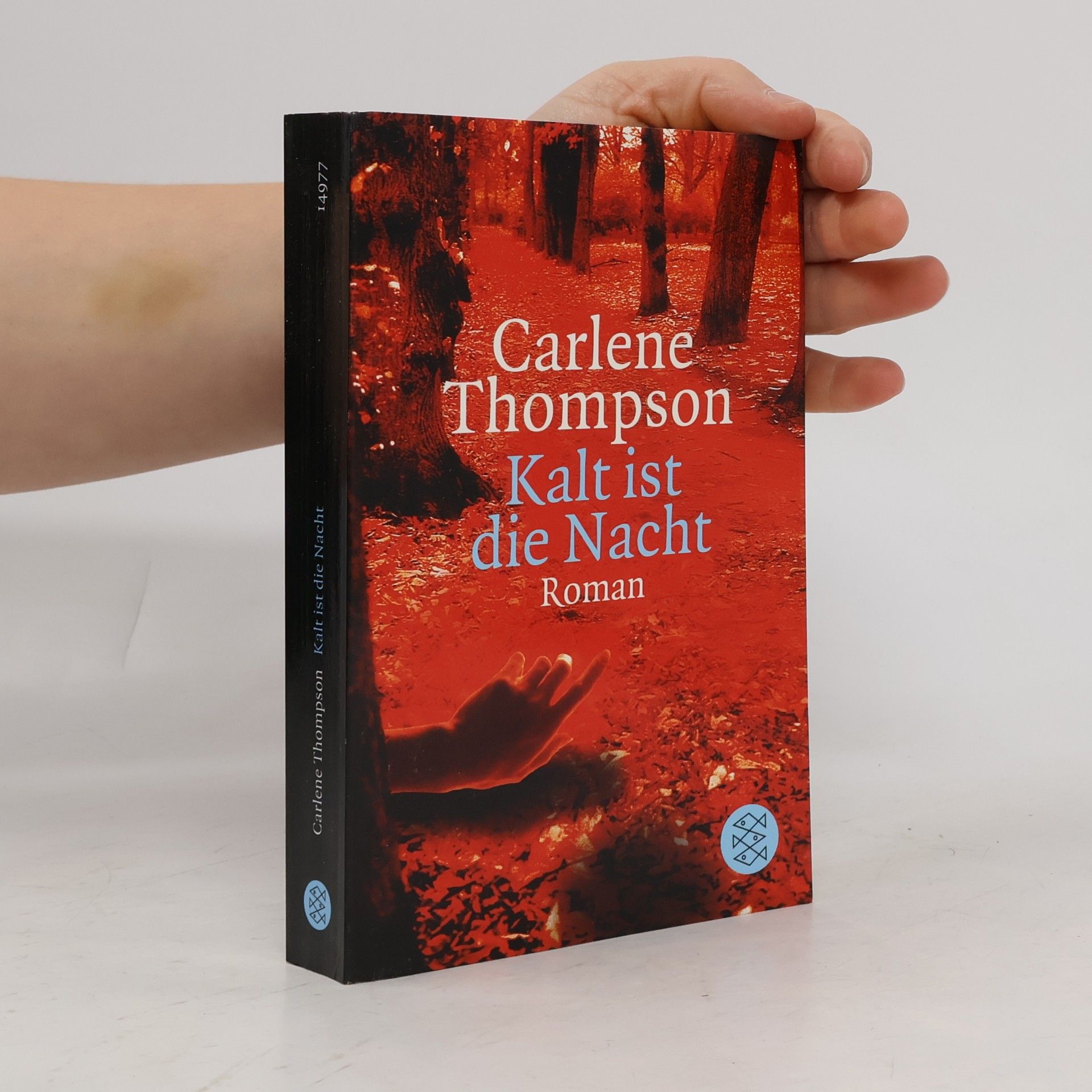 Carlene Thompson Kalt ist die Nacht