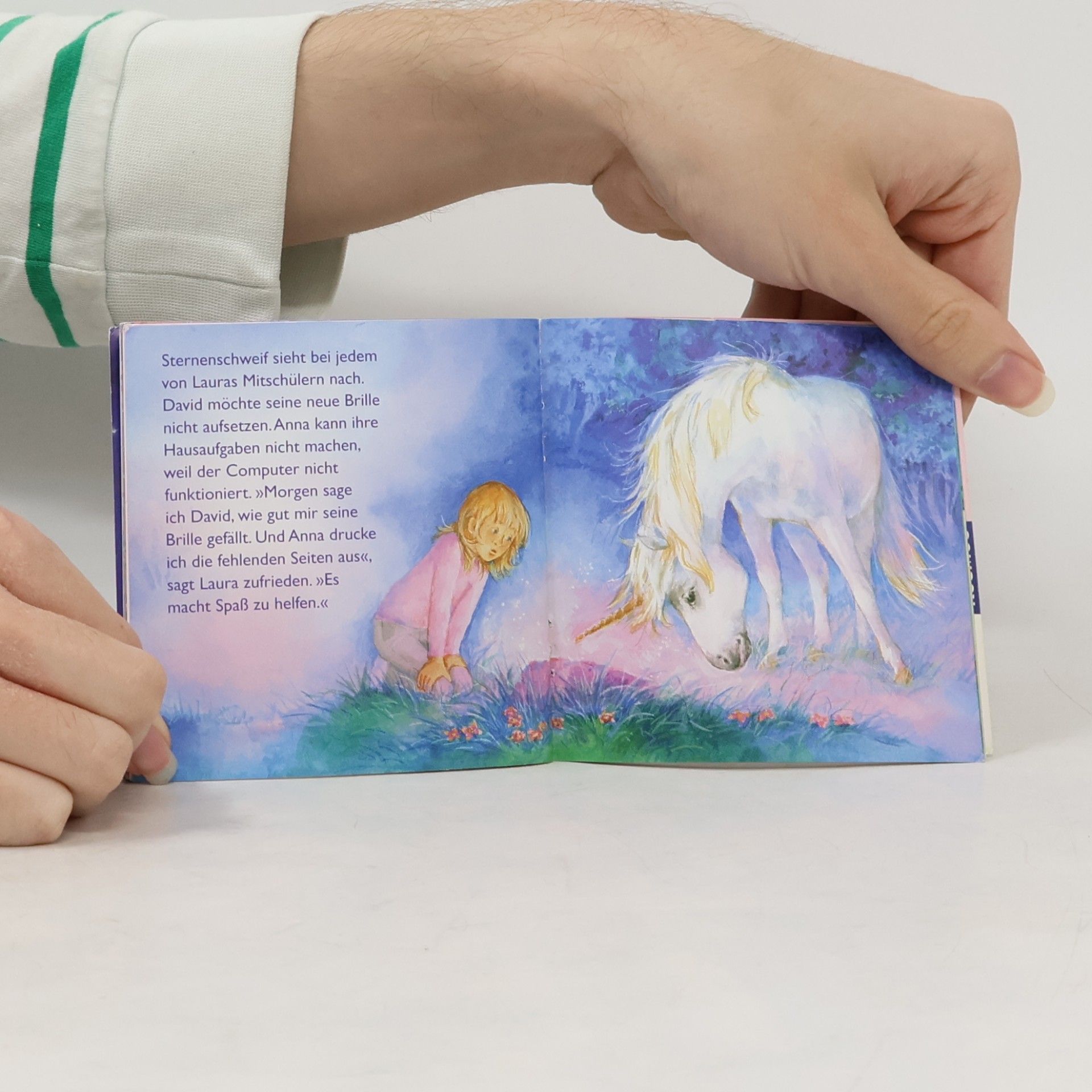 Autorenkollektiv Sternenschweif. Der Rosenquarz