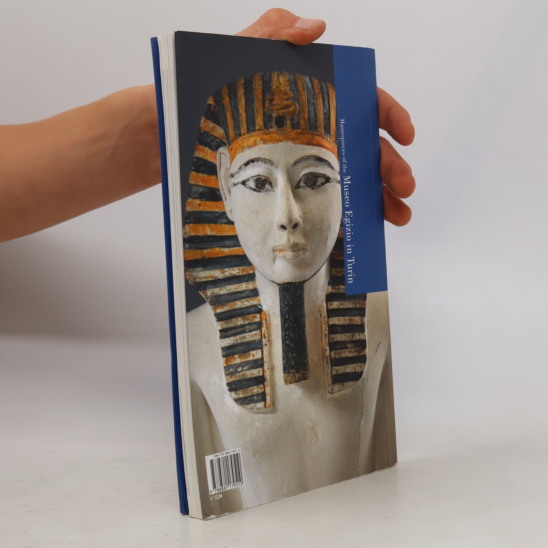 Eleni Vassilika Masterpieces of the Museo Egizio in Turin