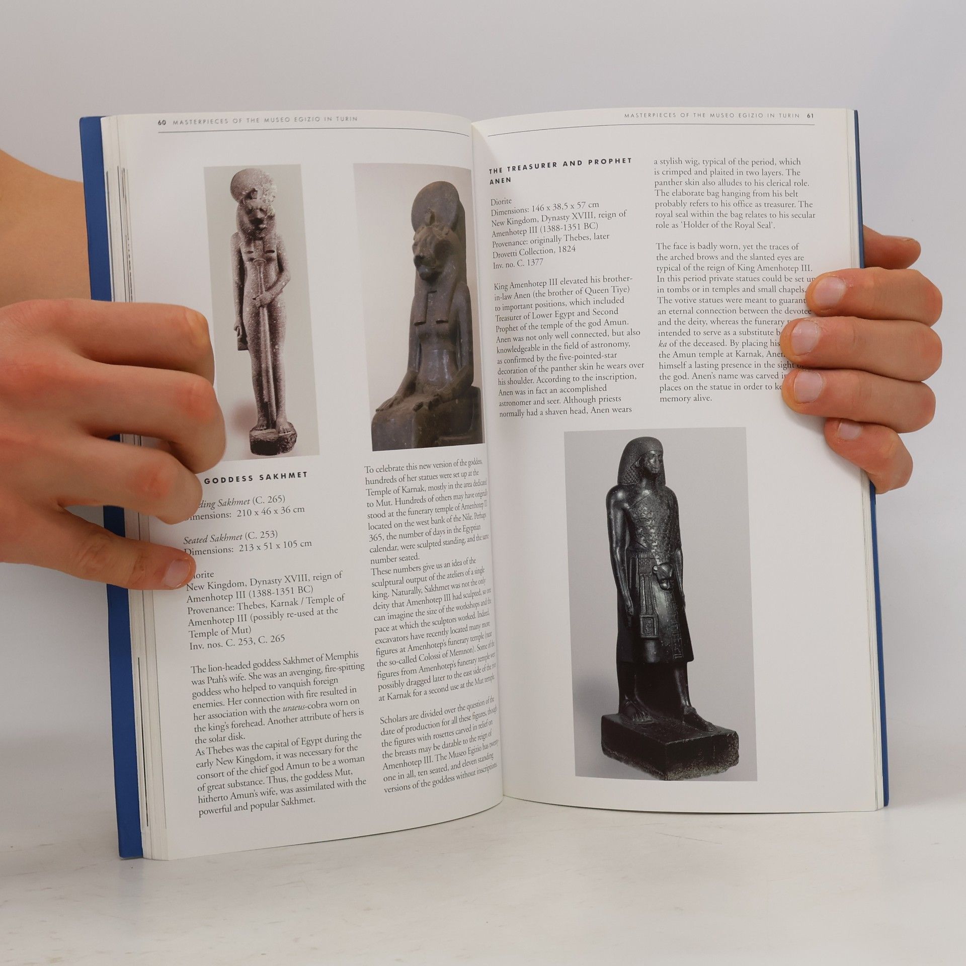 Eleni Vassilika Masterpieces of the Museo Egizio in Turin