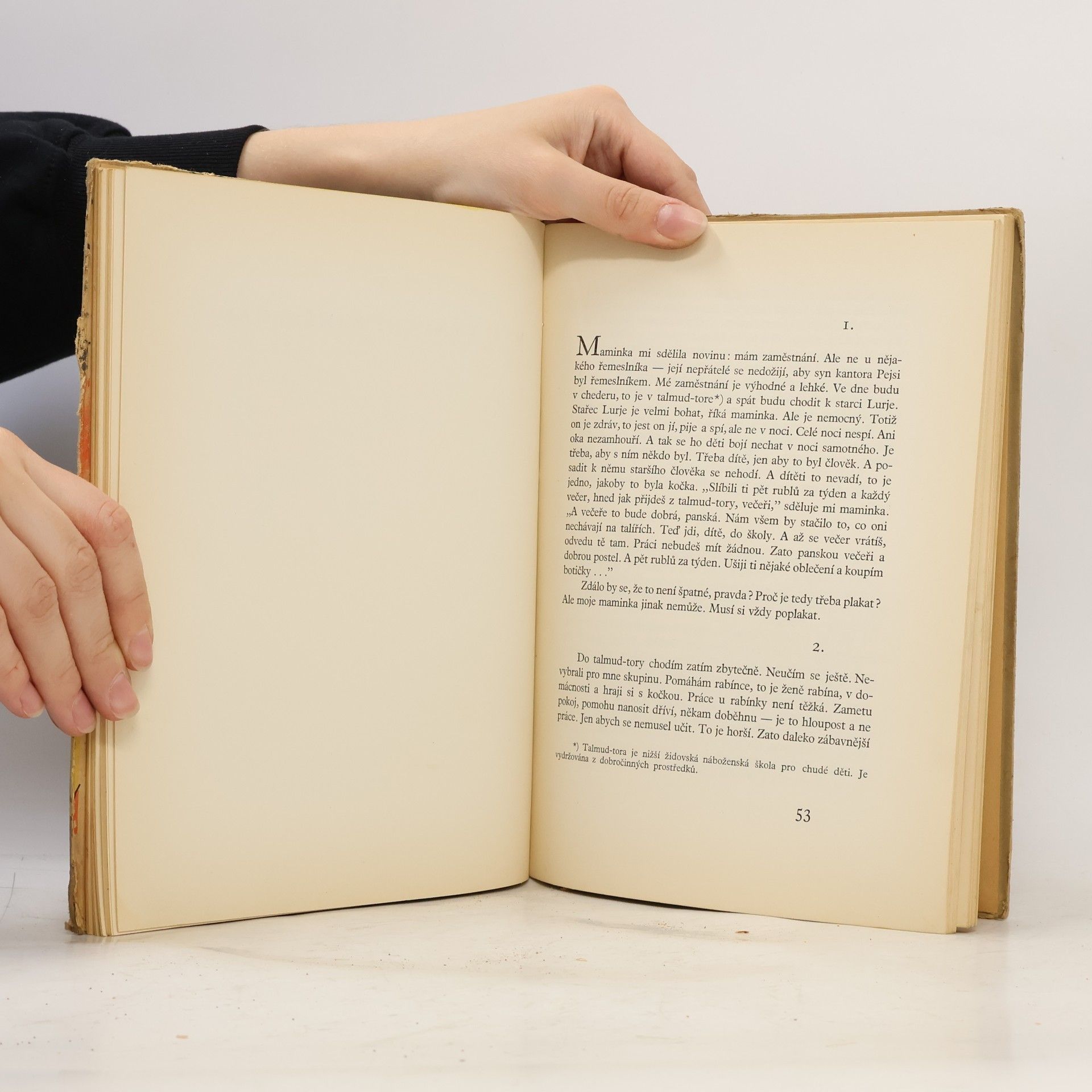 Scholem Alejchem Darebák Motl