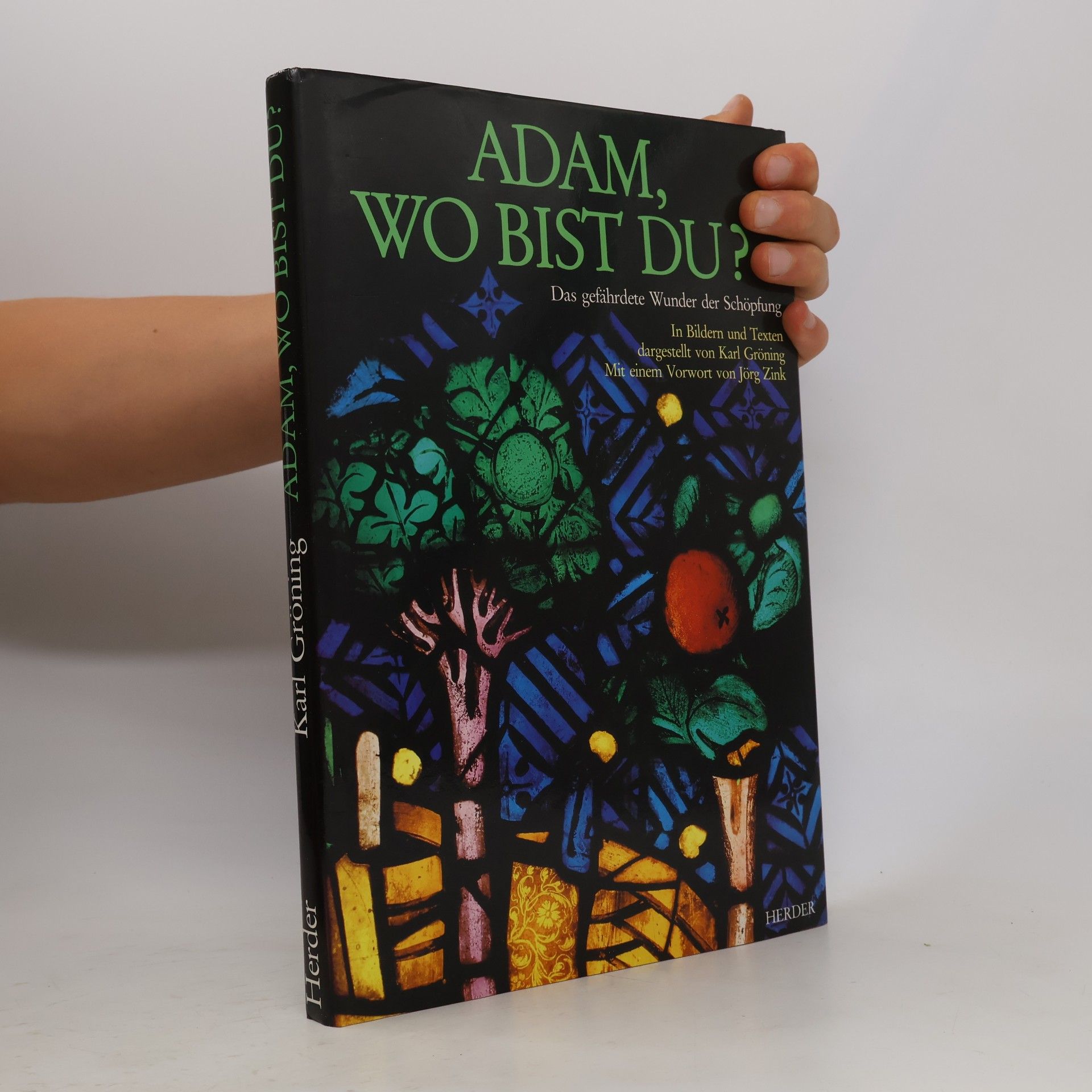 Karl Gröning Adam, wo bist du?