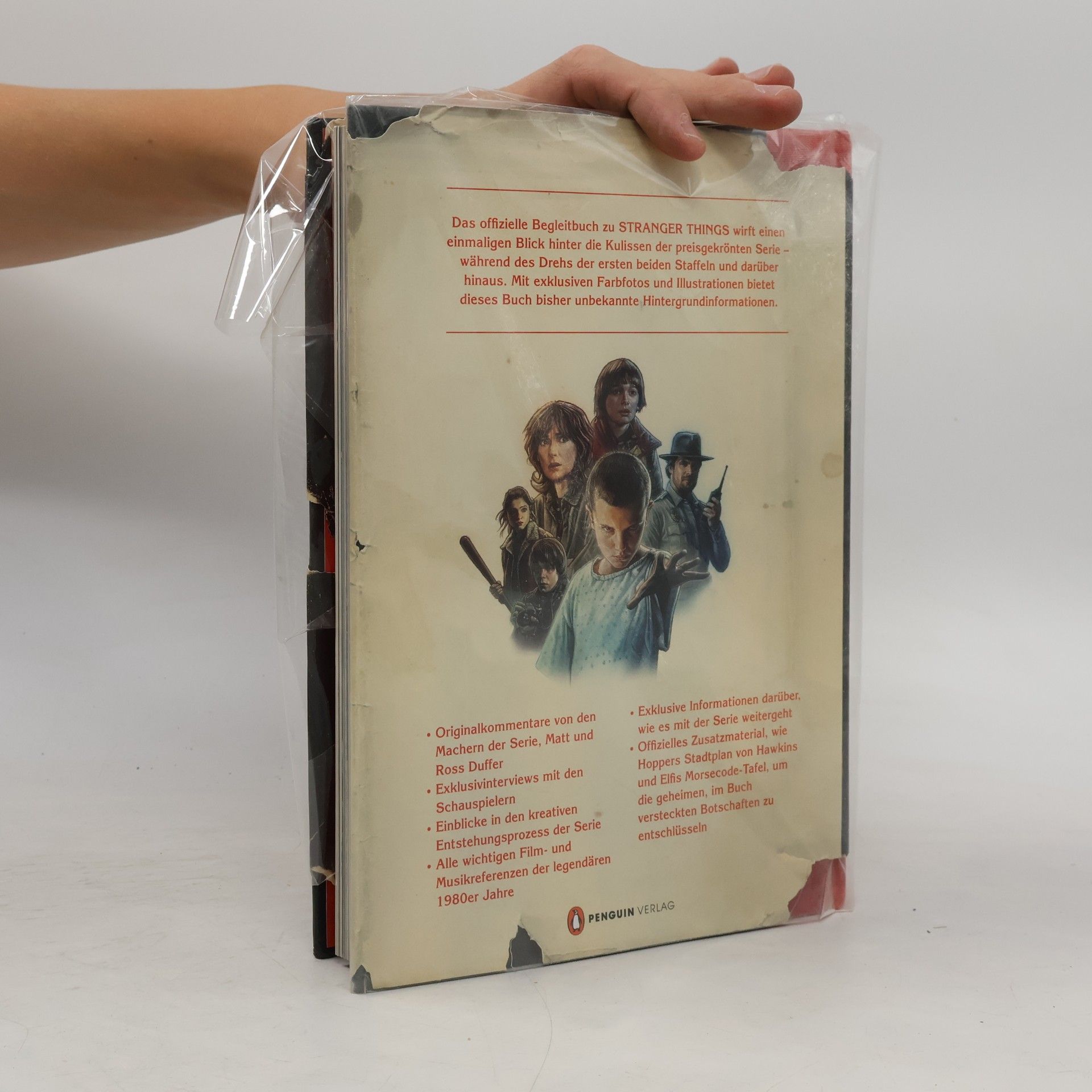 Matt Duffer Stranger Things. Das offizielle Begleitbuch