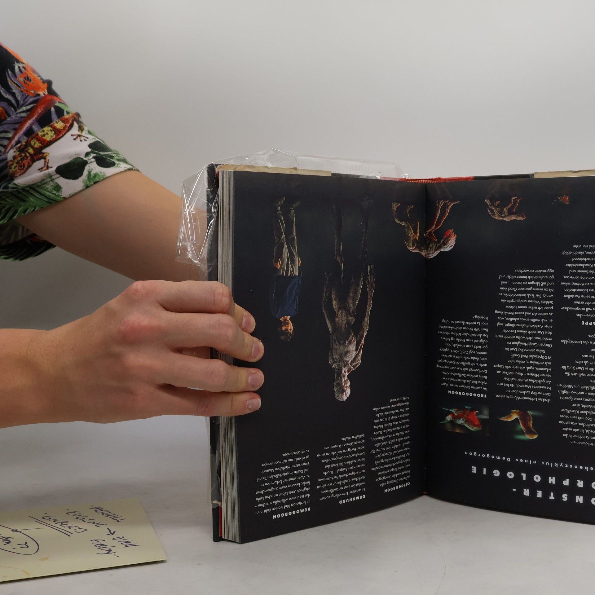 Matt Duffer Stranger Things. Das offizielle Begleitbuch