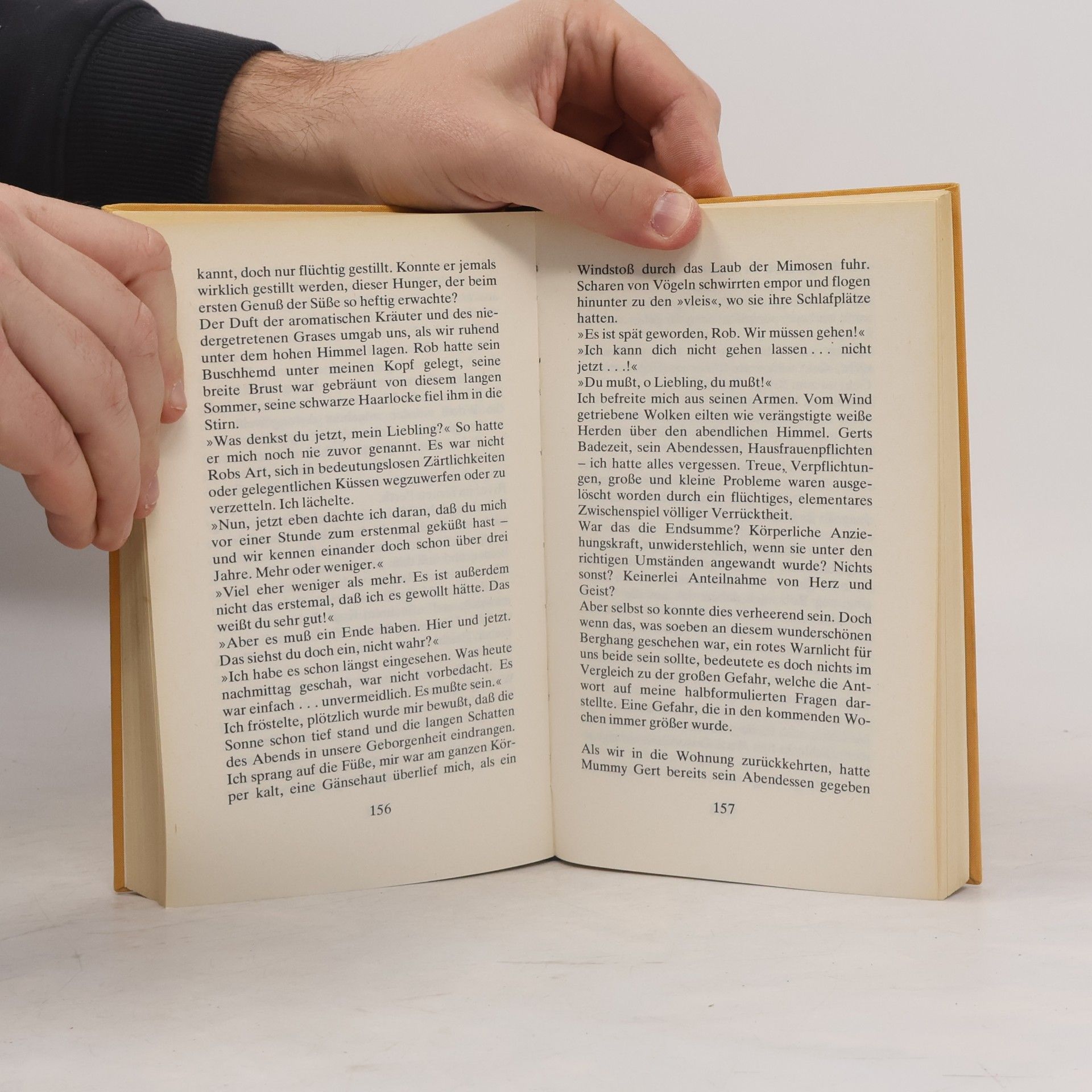 Joy Packer Der Weg der Entscheidung. Roman