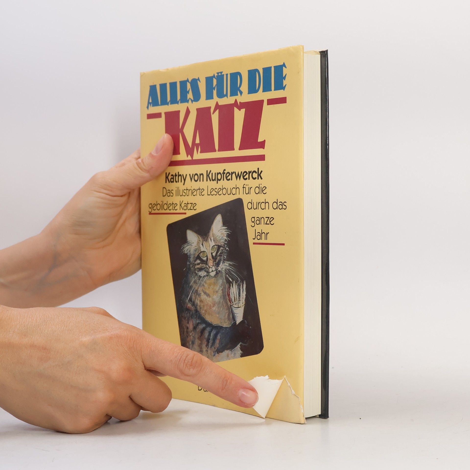 Kathy von Kupferwerck Alles für die Katz