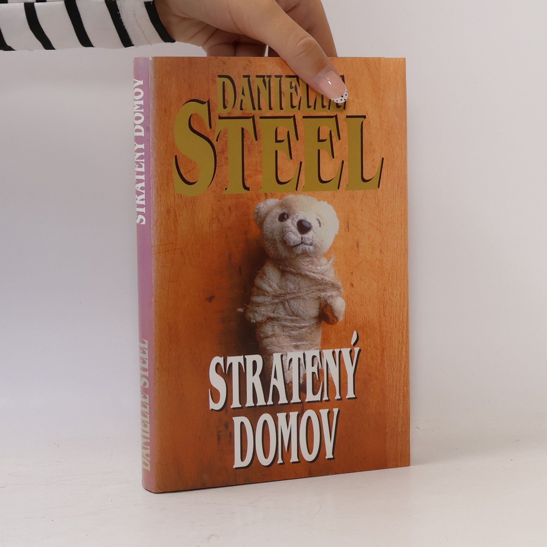 Danielle Steel Stratený domov