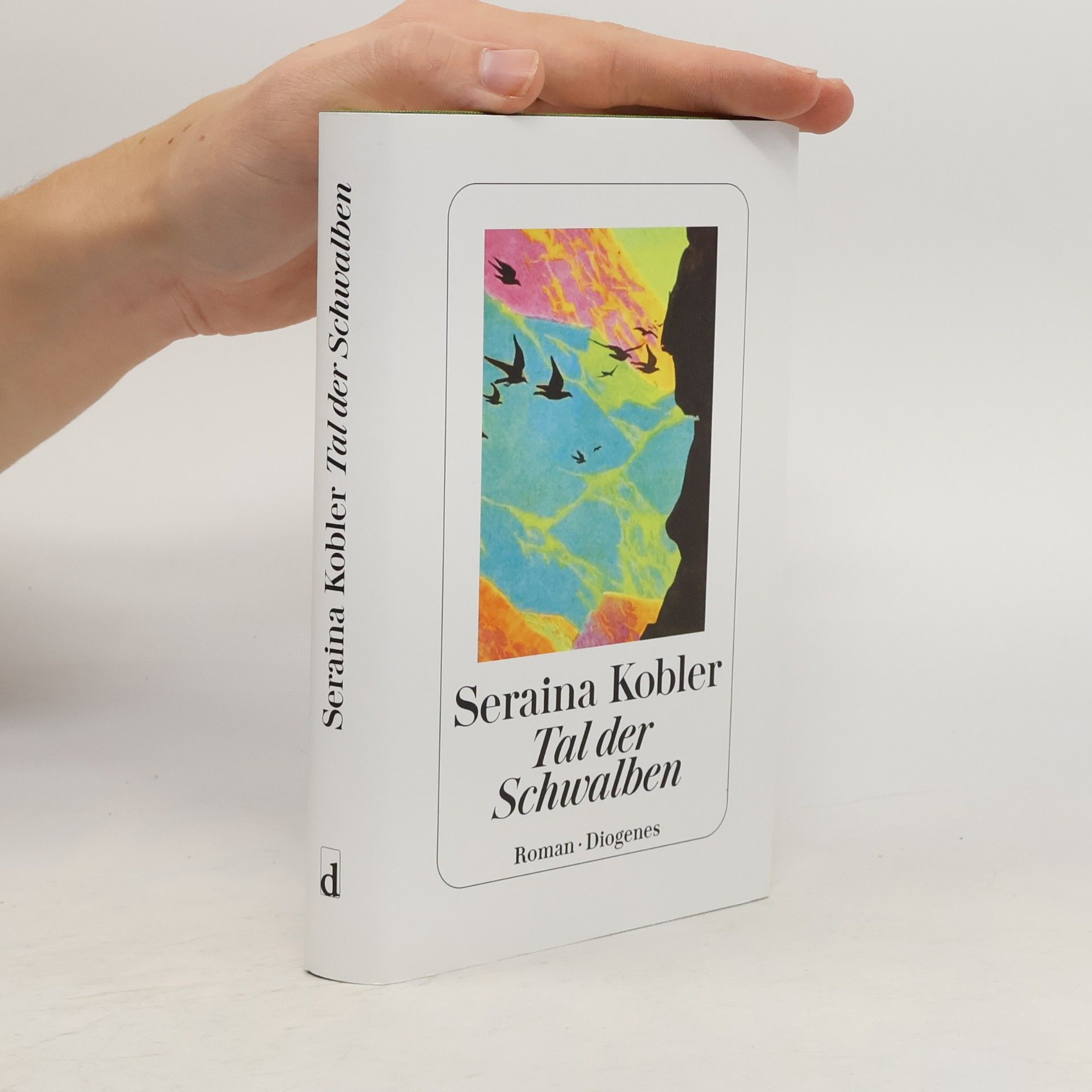 Seraina Kobler Tal der Schwalben