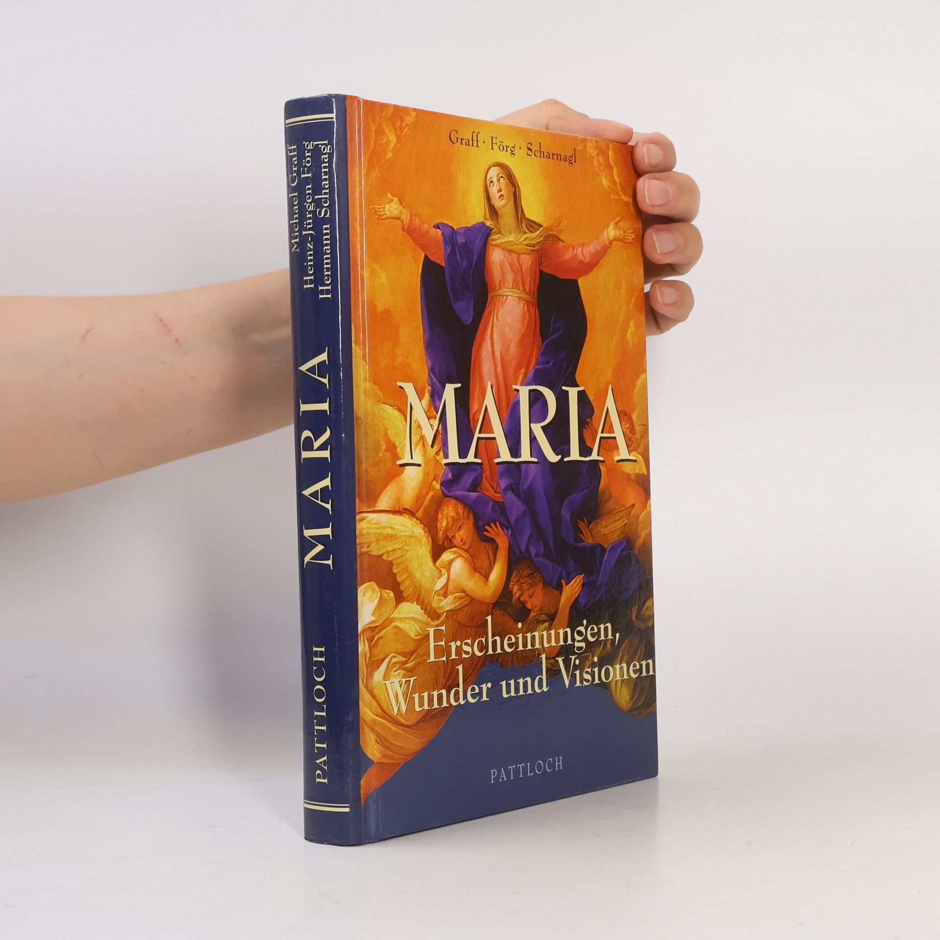 Heinz-Jürgen Förg Maria. Erscheinungen, Wunder und Visionen