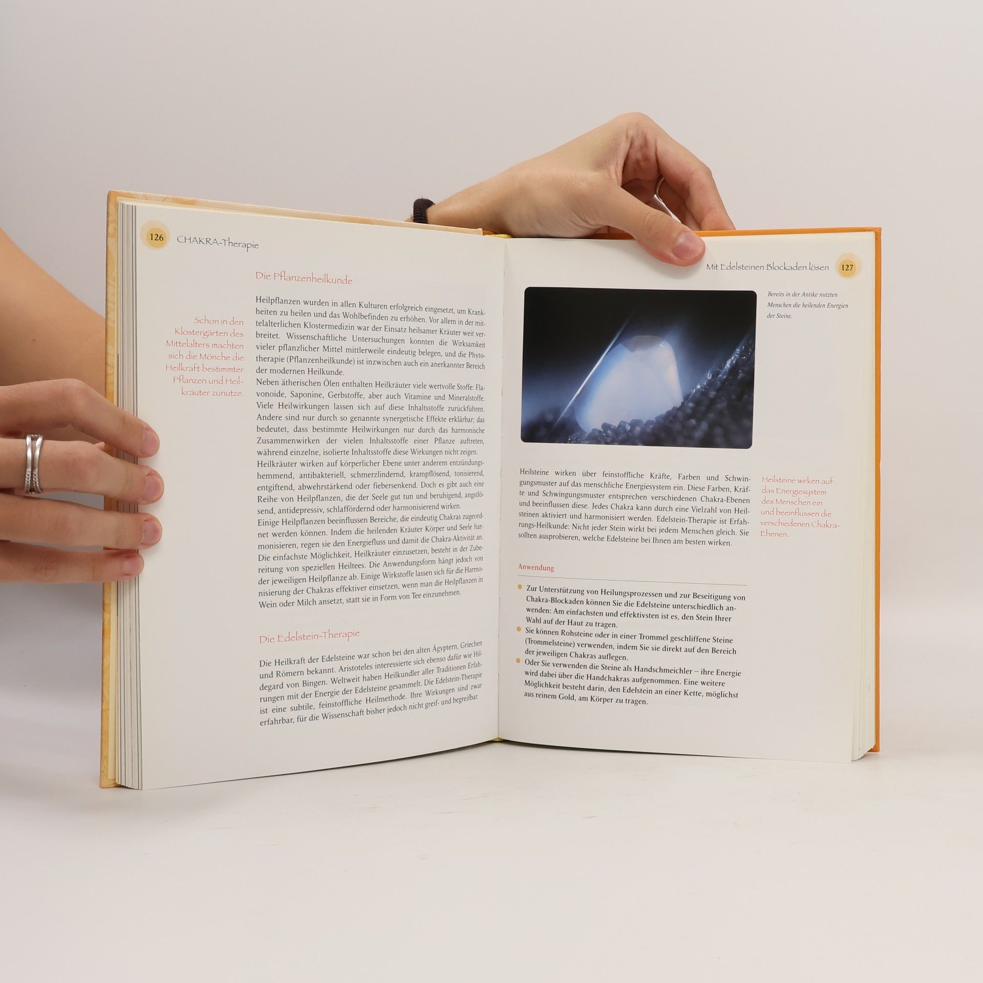 Kalashatra Govinda Chakra-Praxisbuch