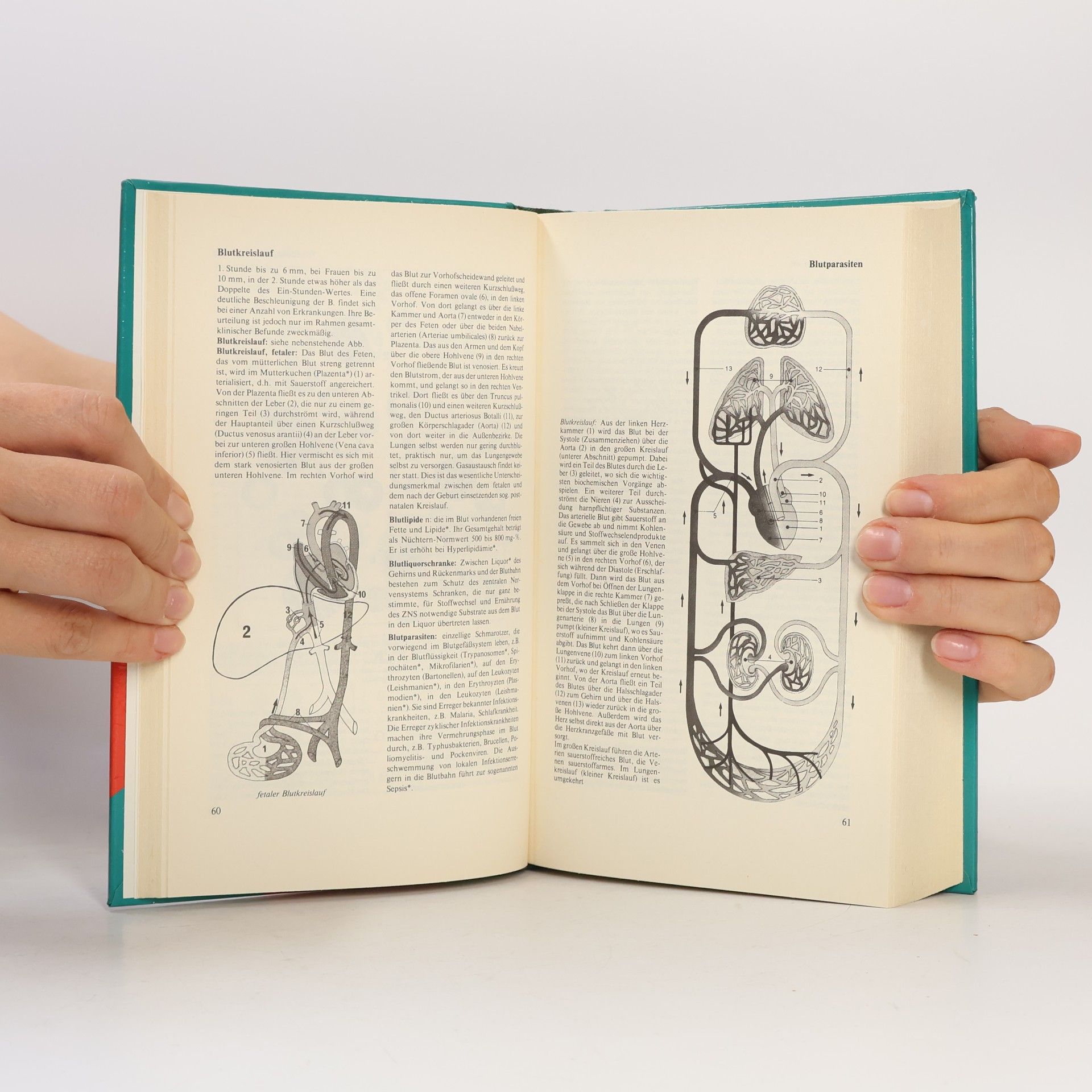 Josef Hammerschmid Gollwitzer Wörterbuch der medizinischen Fachausdrücke