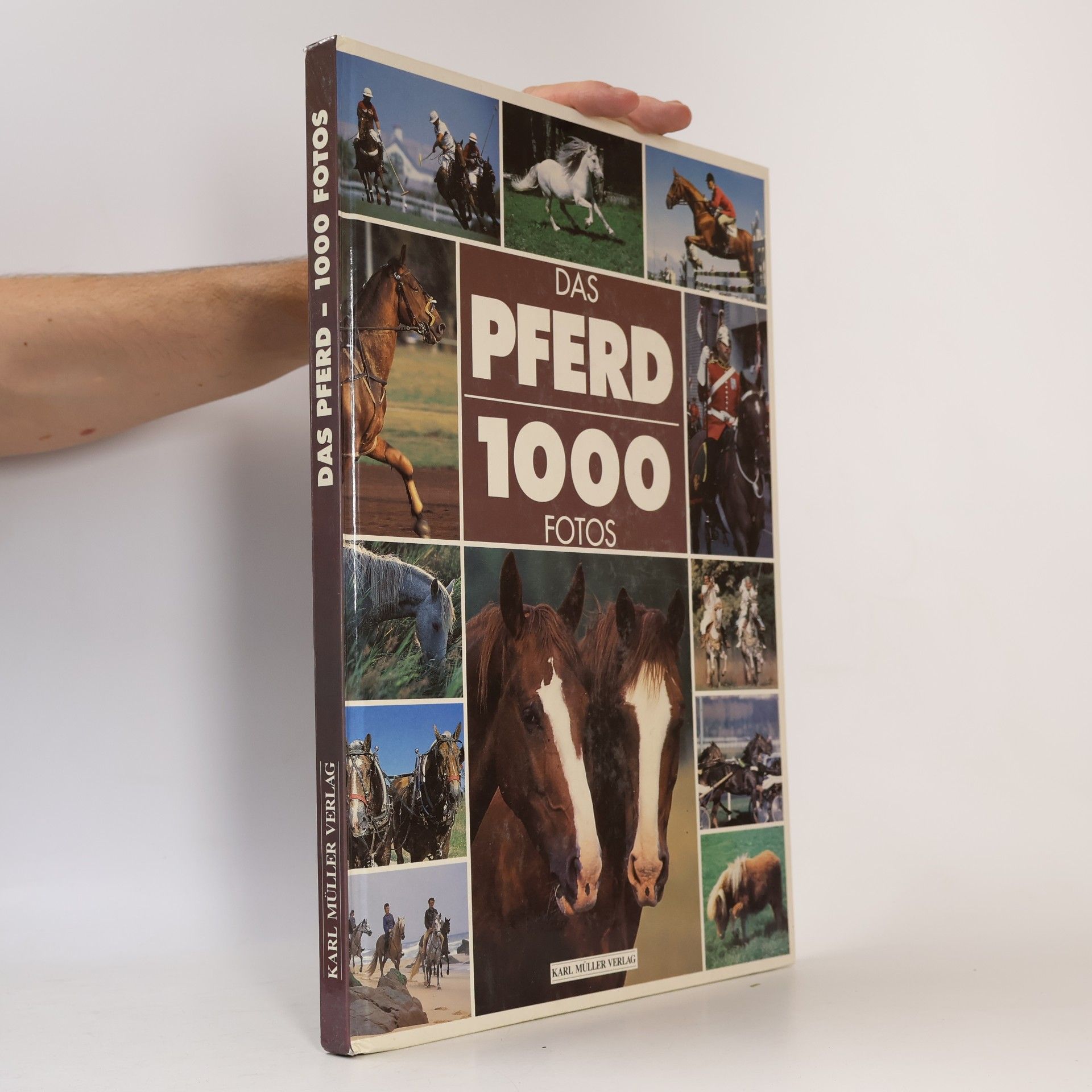 Anne Amblin Das Pferd