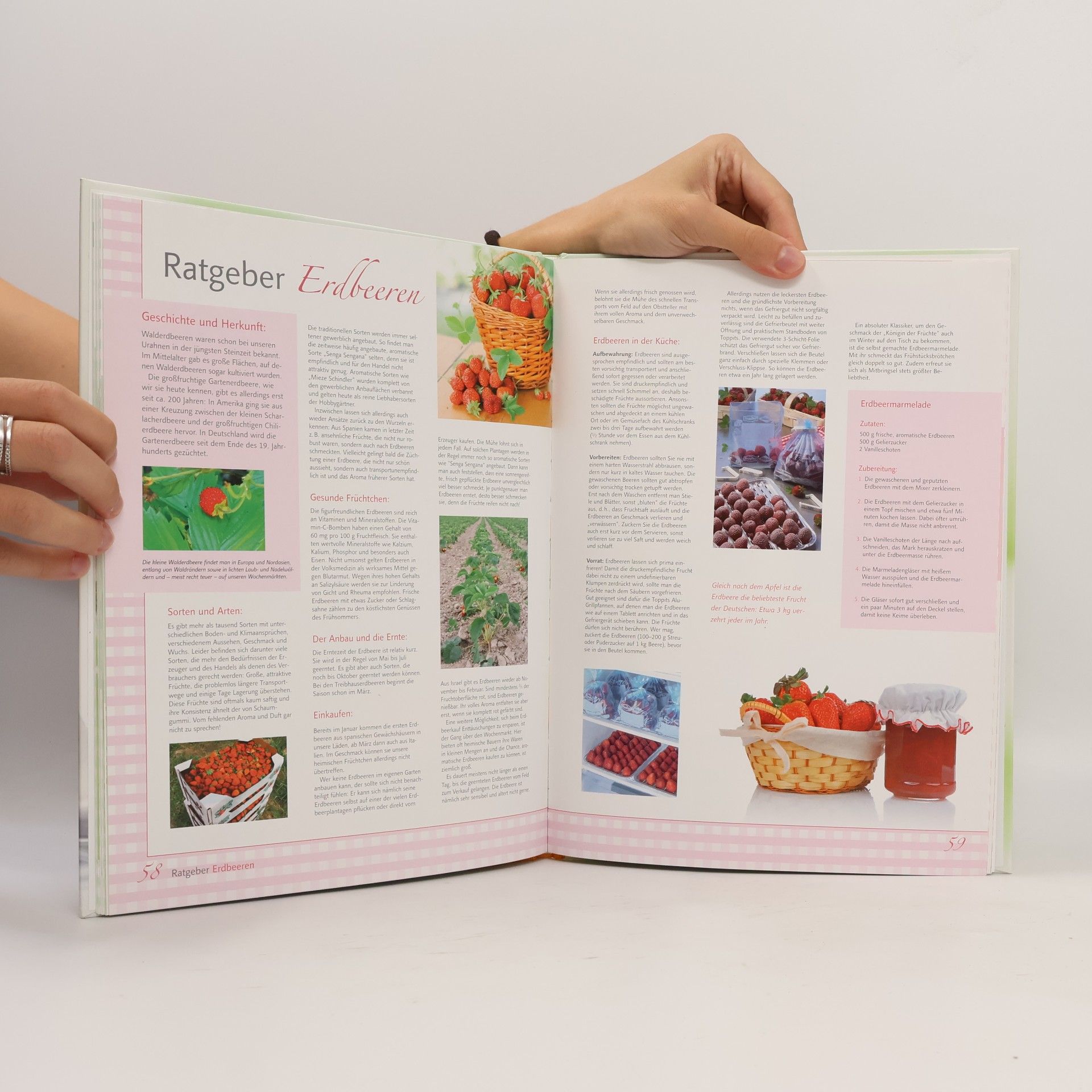 Elisabeth Bangert Spargel und Erbeeren