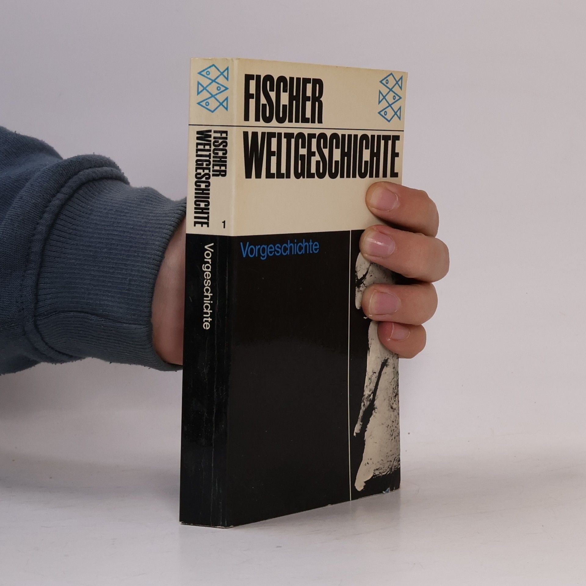 Vorgeschichte
