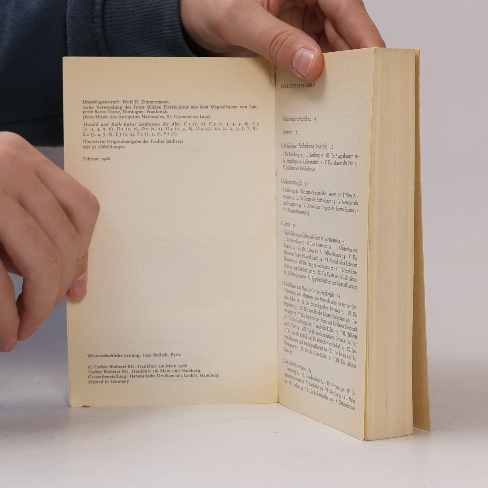 Marie Henriette Alimen Vorgeschichte