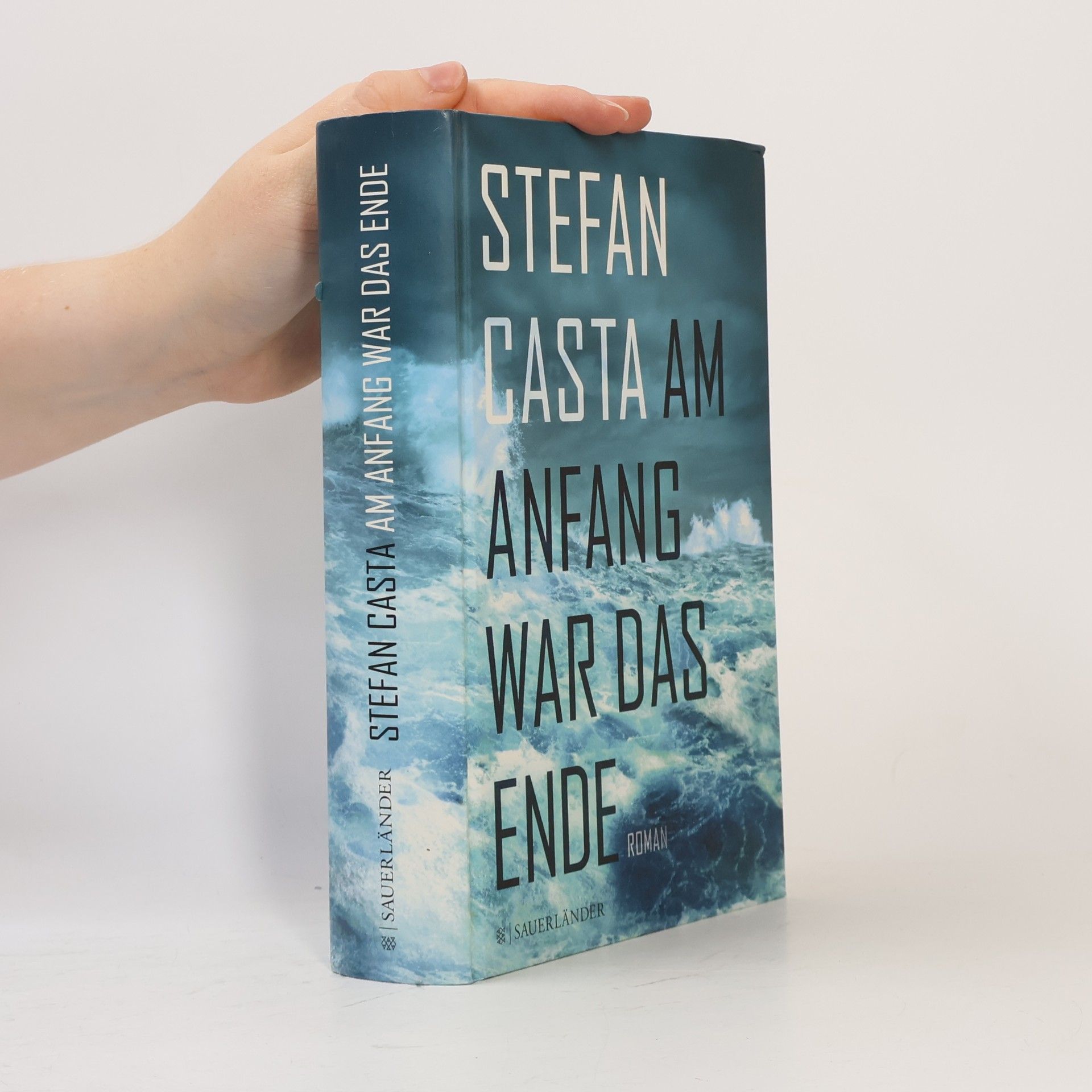 Stefan Casta Am Anfang war das Ende