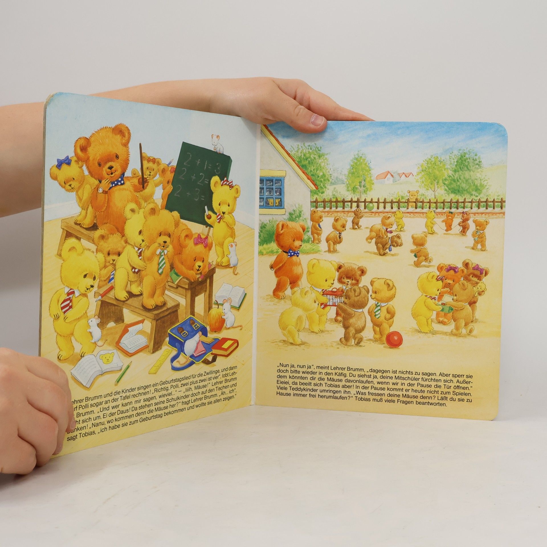 Gisela Fischer Die Teddy-Schule