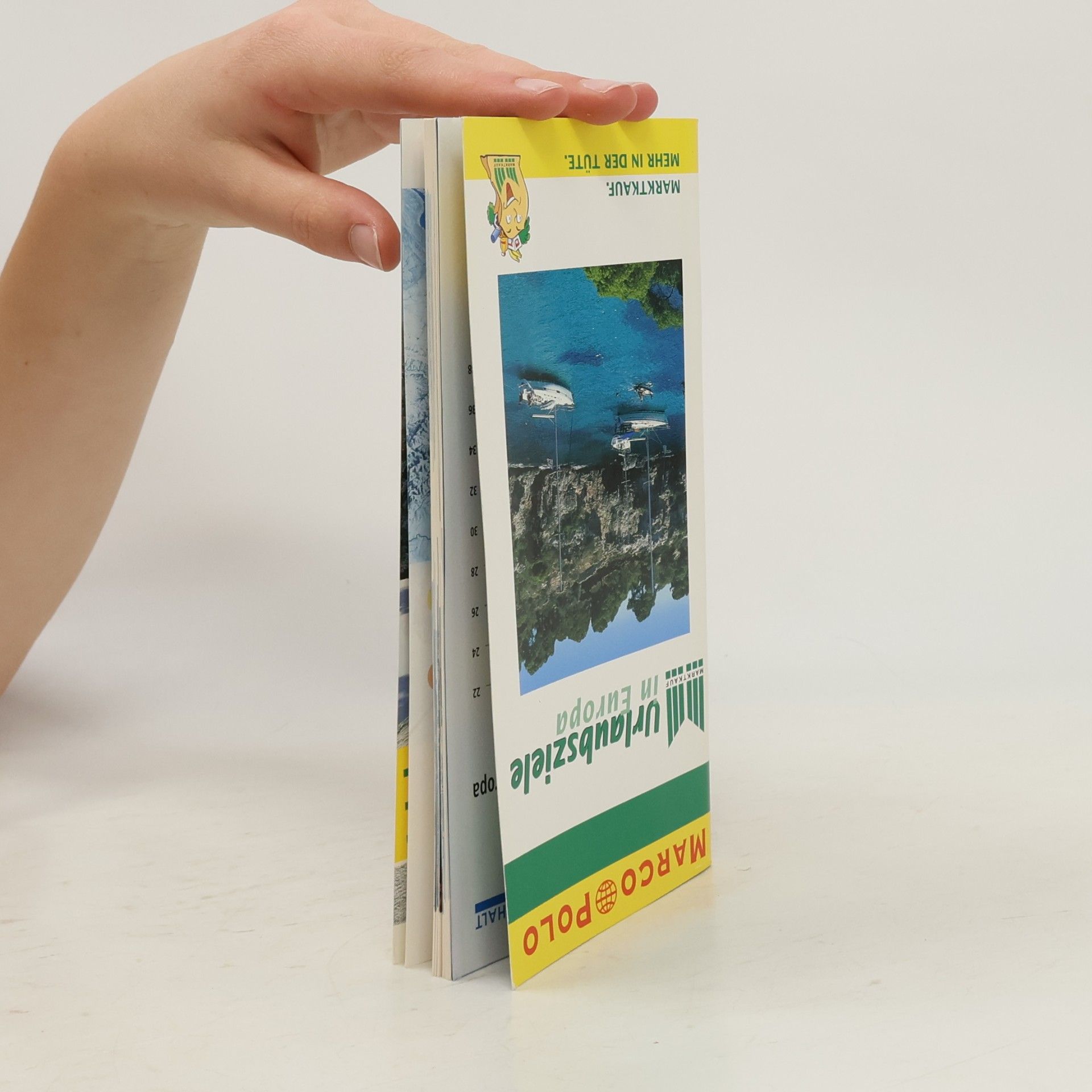 Kolektiv autorů Skigebiete in den Alpen