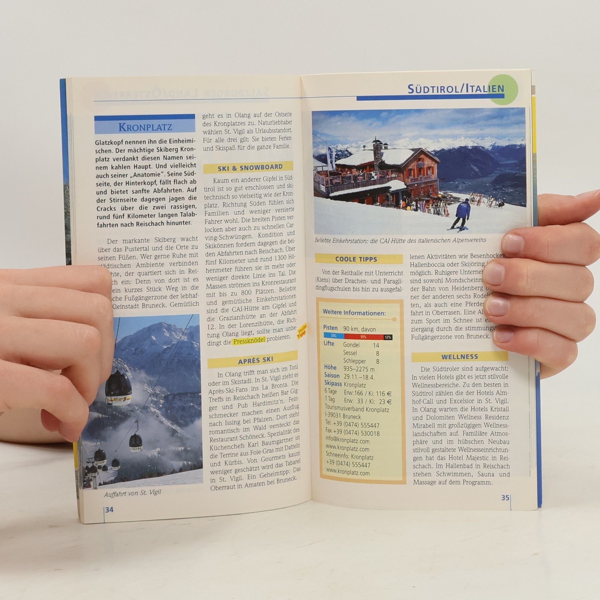 Kolektiv autorů Skigebiete in den Alpen
