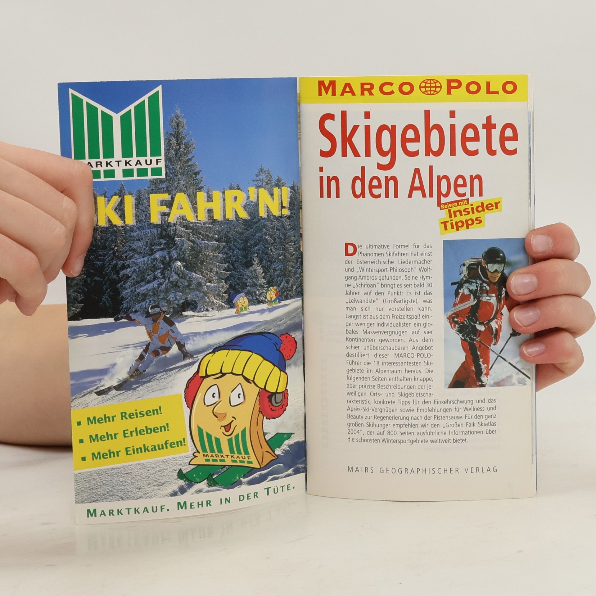 Kolektiv autorů Skigebiete in den Alpen