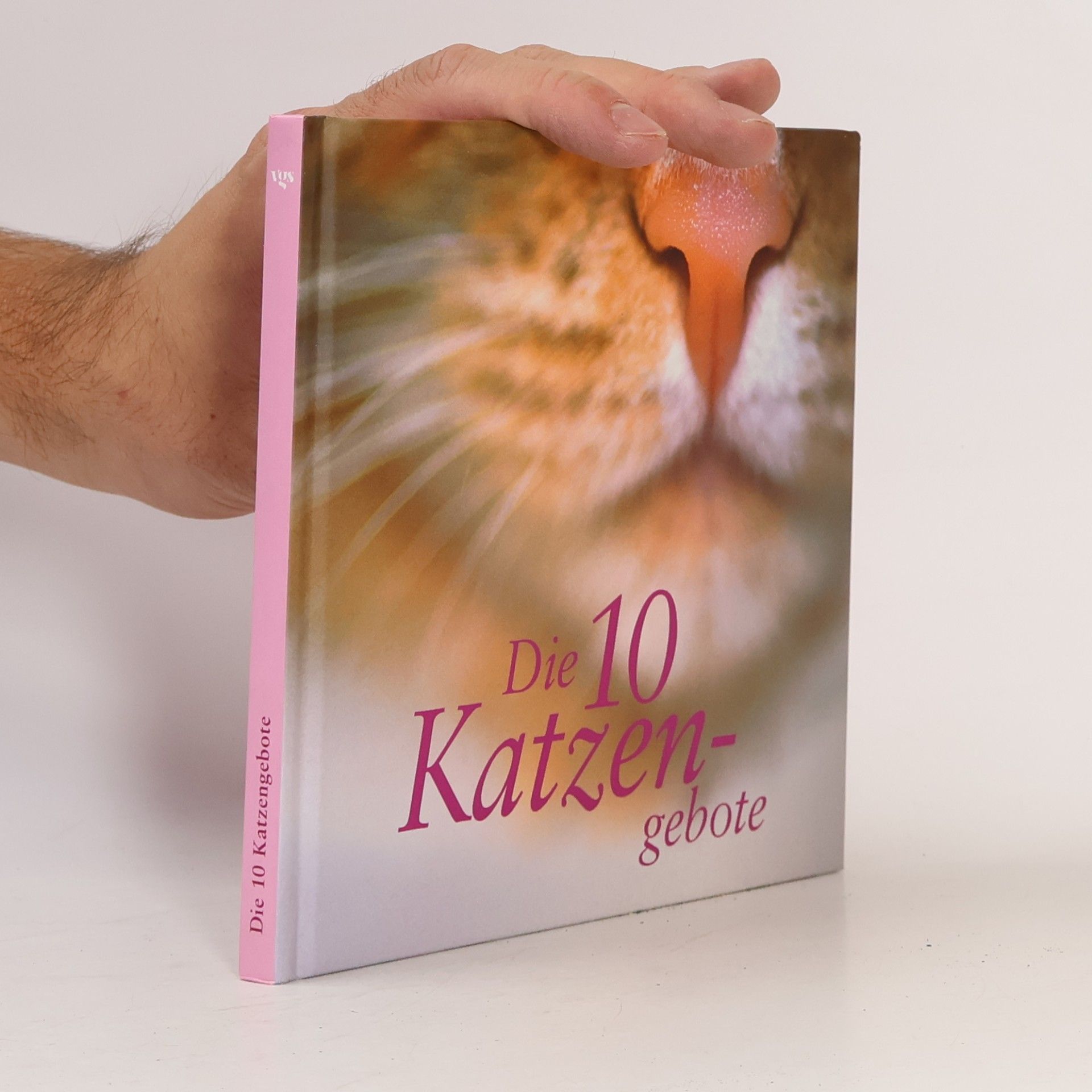 Die 10 Katzengebote
