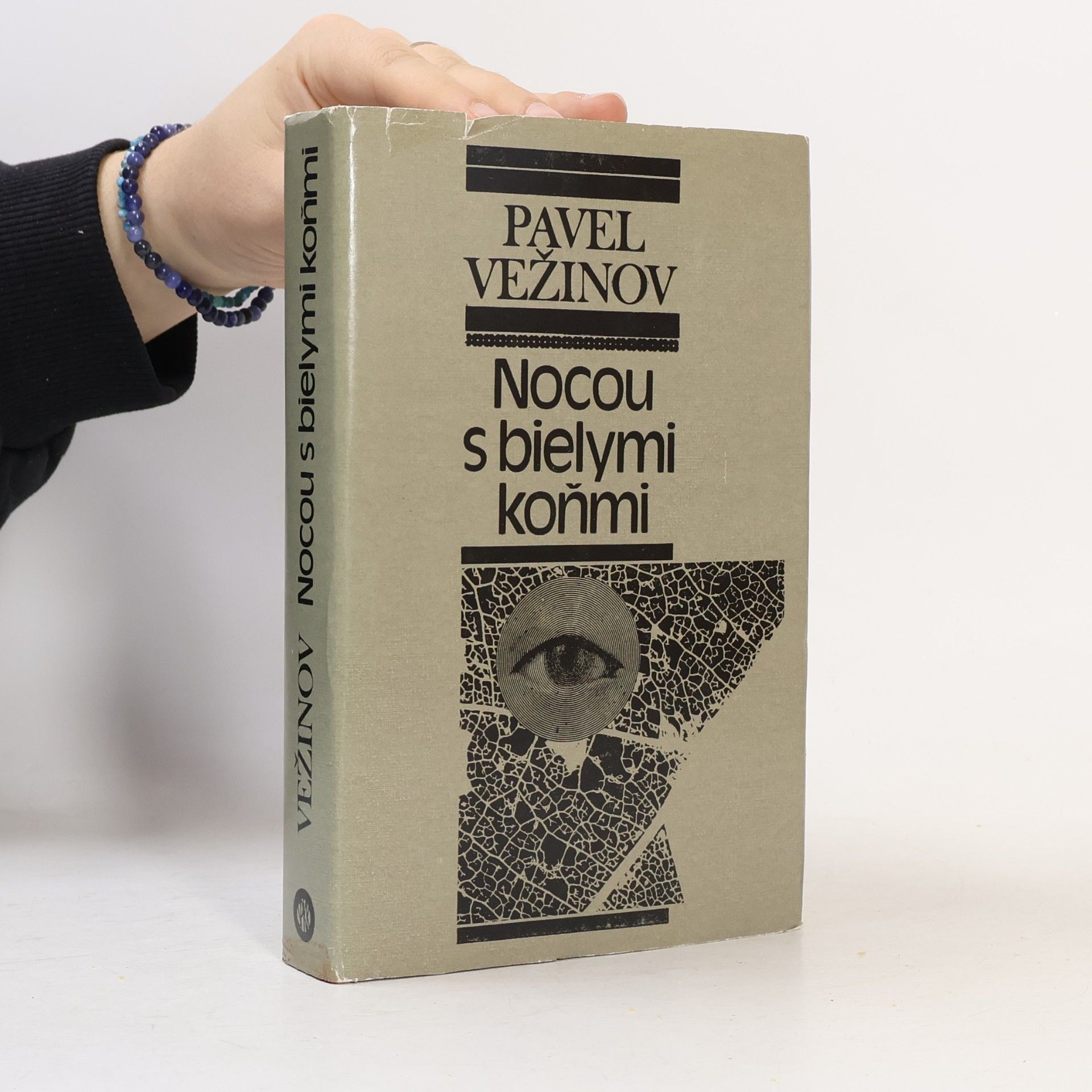 Pavel Vežinov Nocou s bielymi koňmi