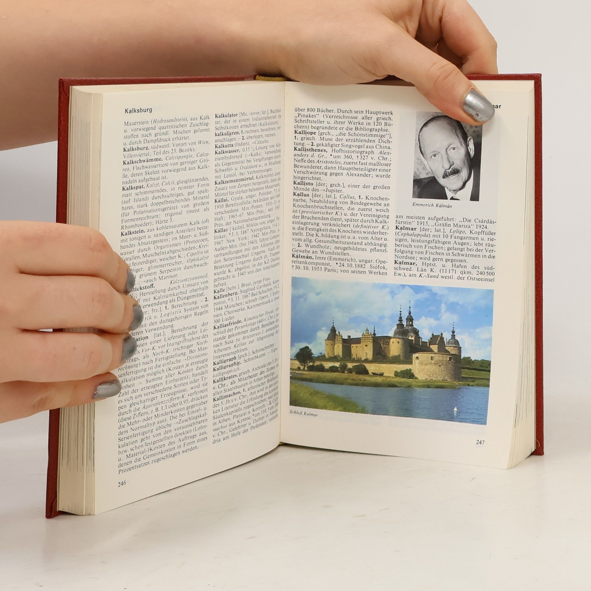 Kolektiv autorů Das moderne Lexikon 9. Ior-Kil