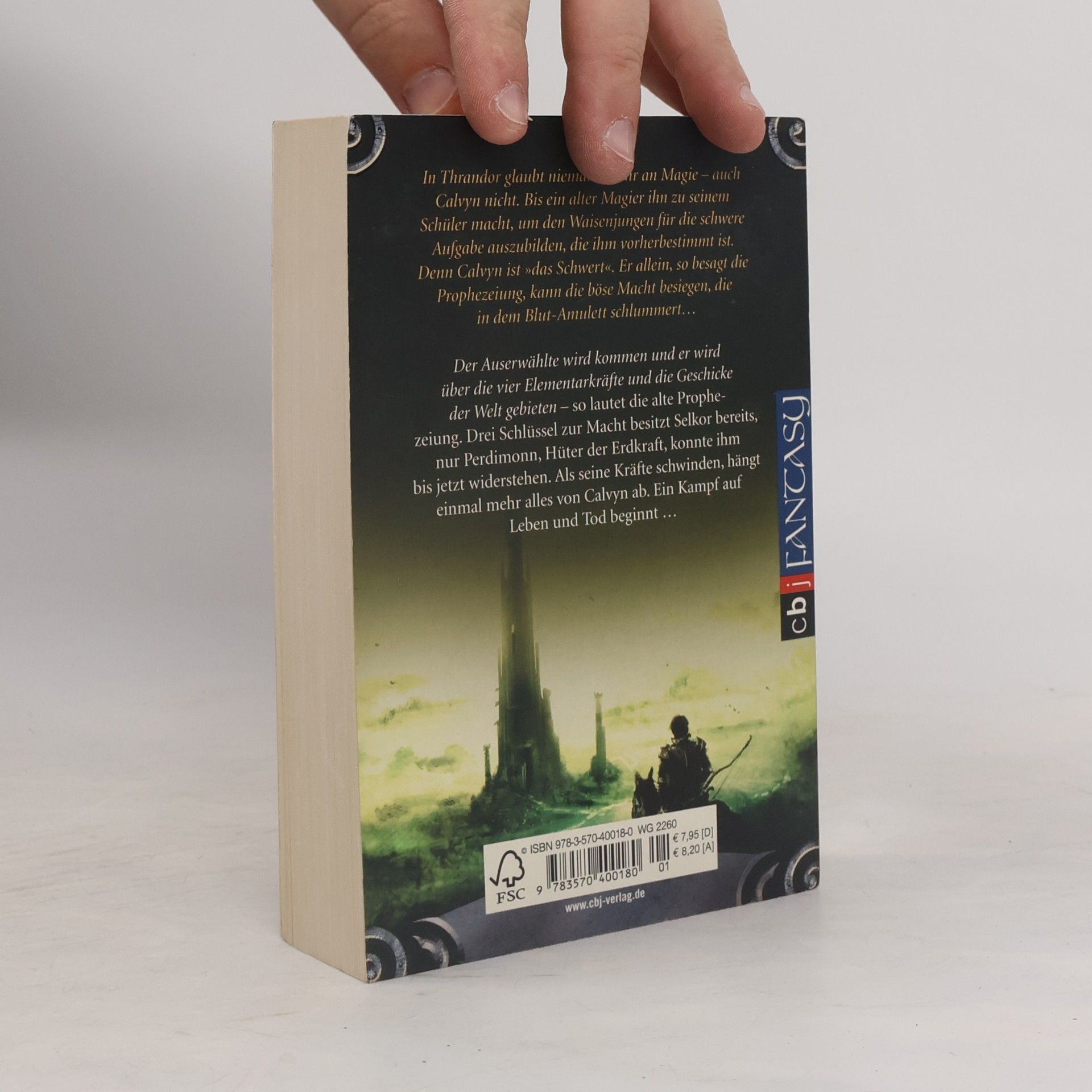Mark Robson Das Vermächtnis von Thrandor - Der Auserwählte