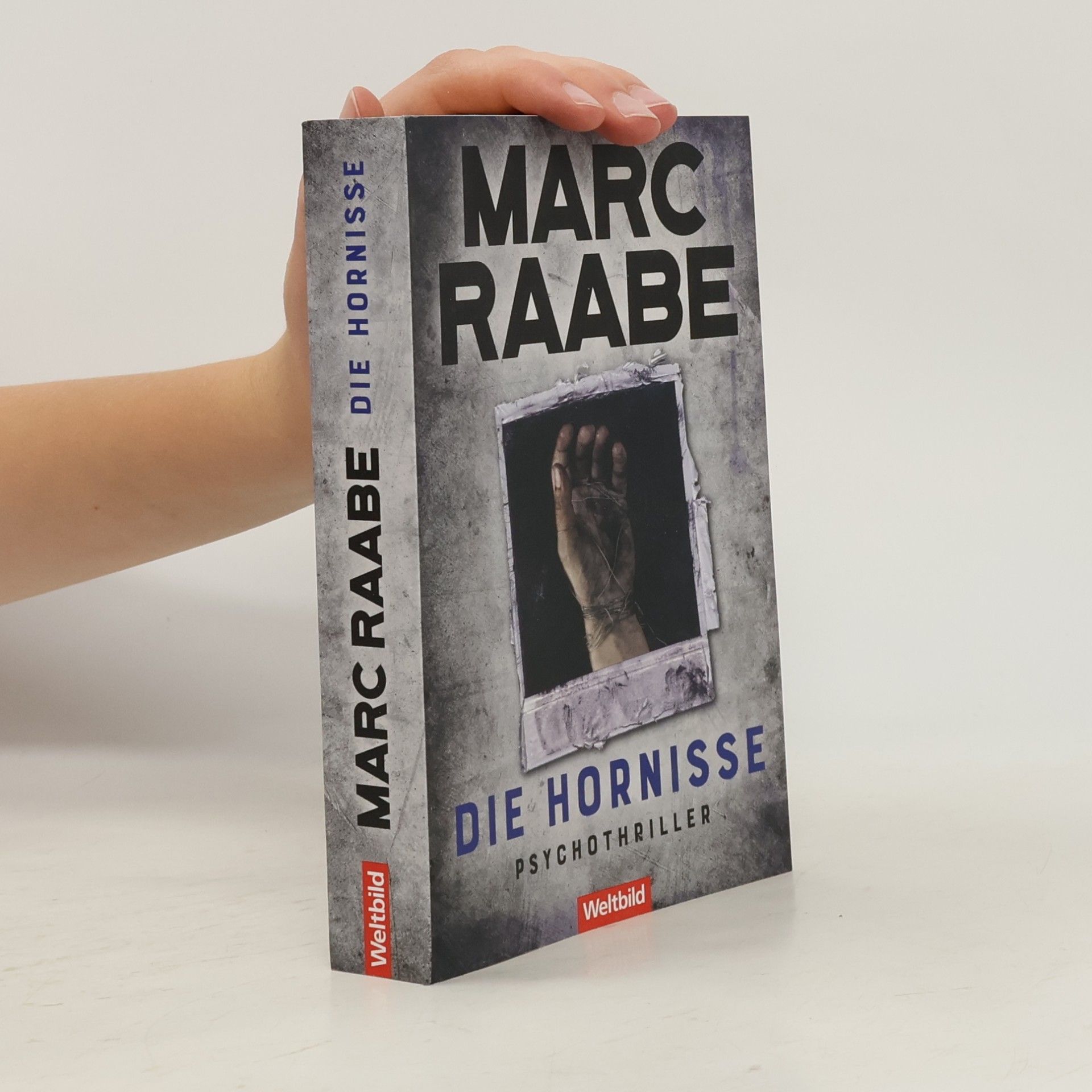 Marc Raabe Die Hornisse