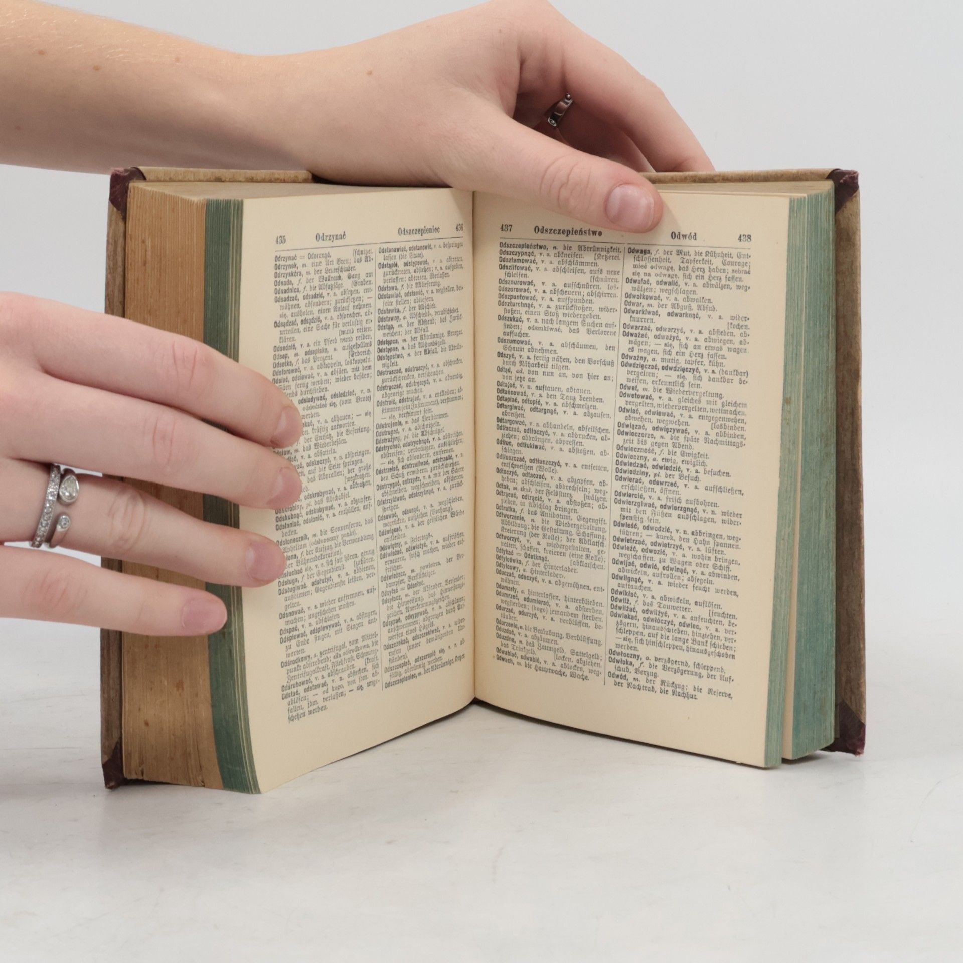 Łukaszewski Słownik niemiecko-polski i polsko-niemiecki. Deutsch-Polnisches und Polnisch-Deutsches Wörterbuch