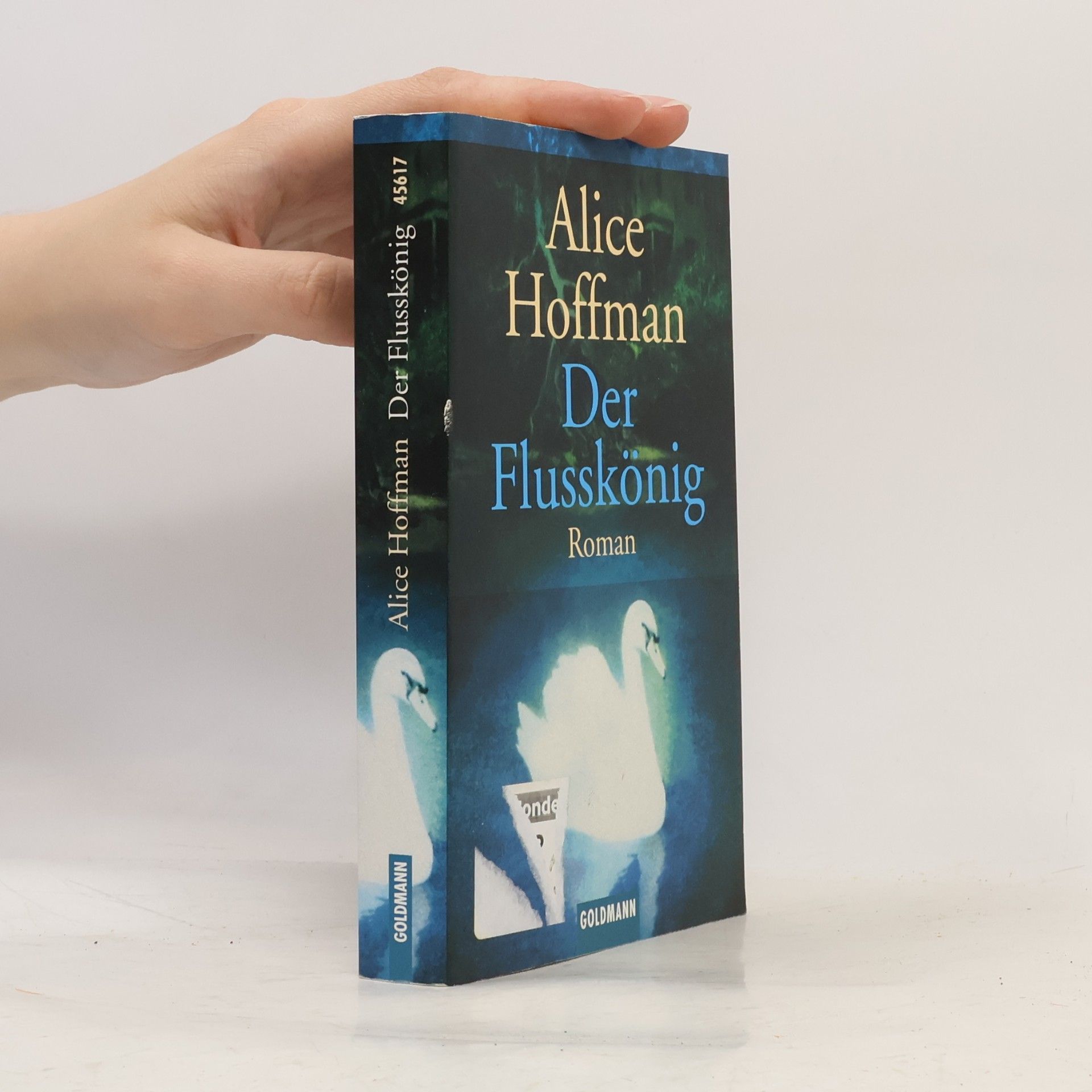 Alice Hoffmann Der Flusskönig